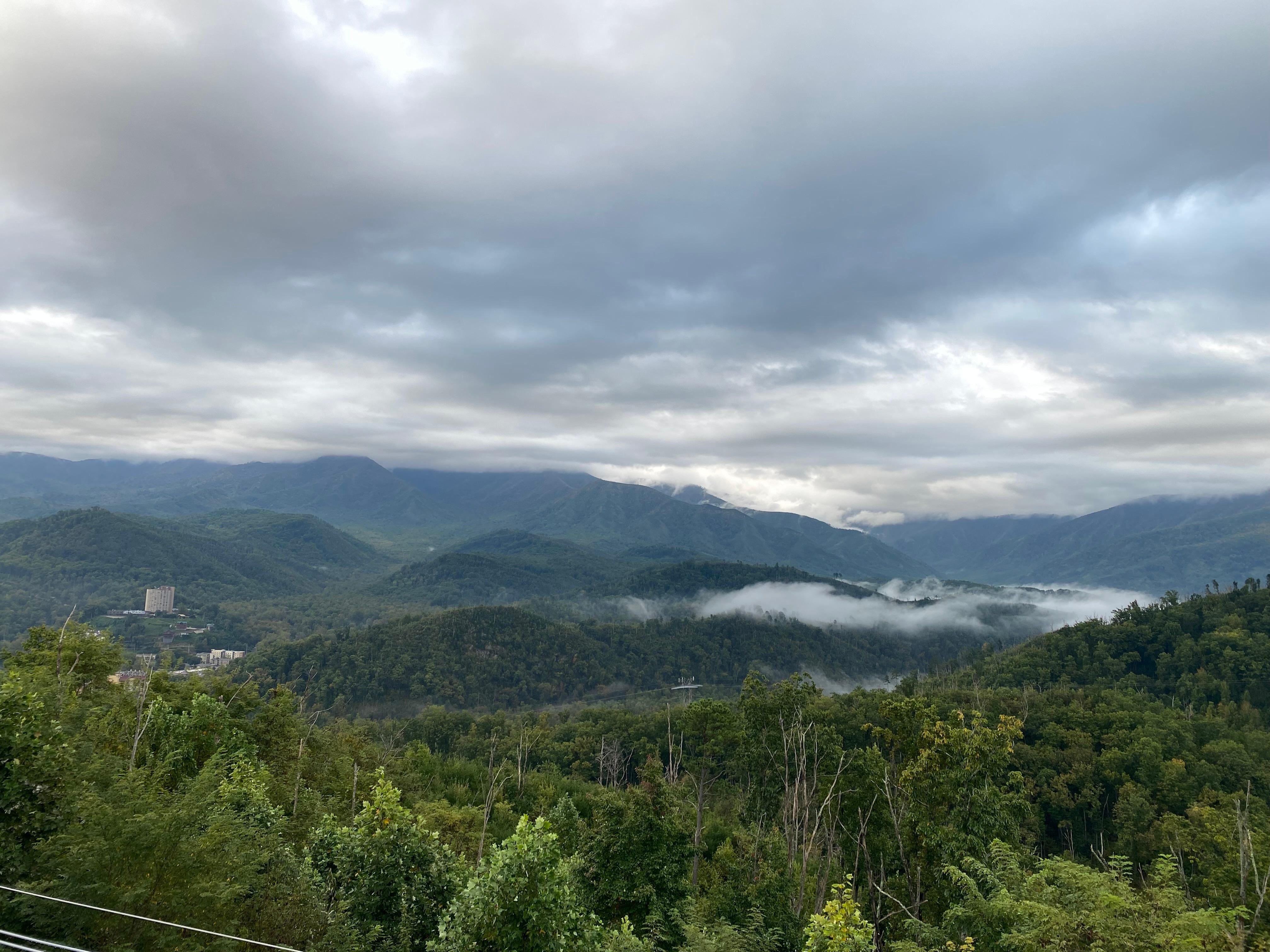 Morning view from the balcony. 