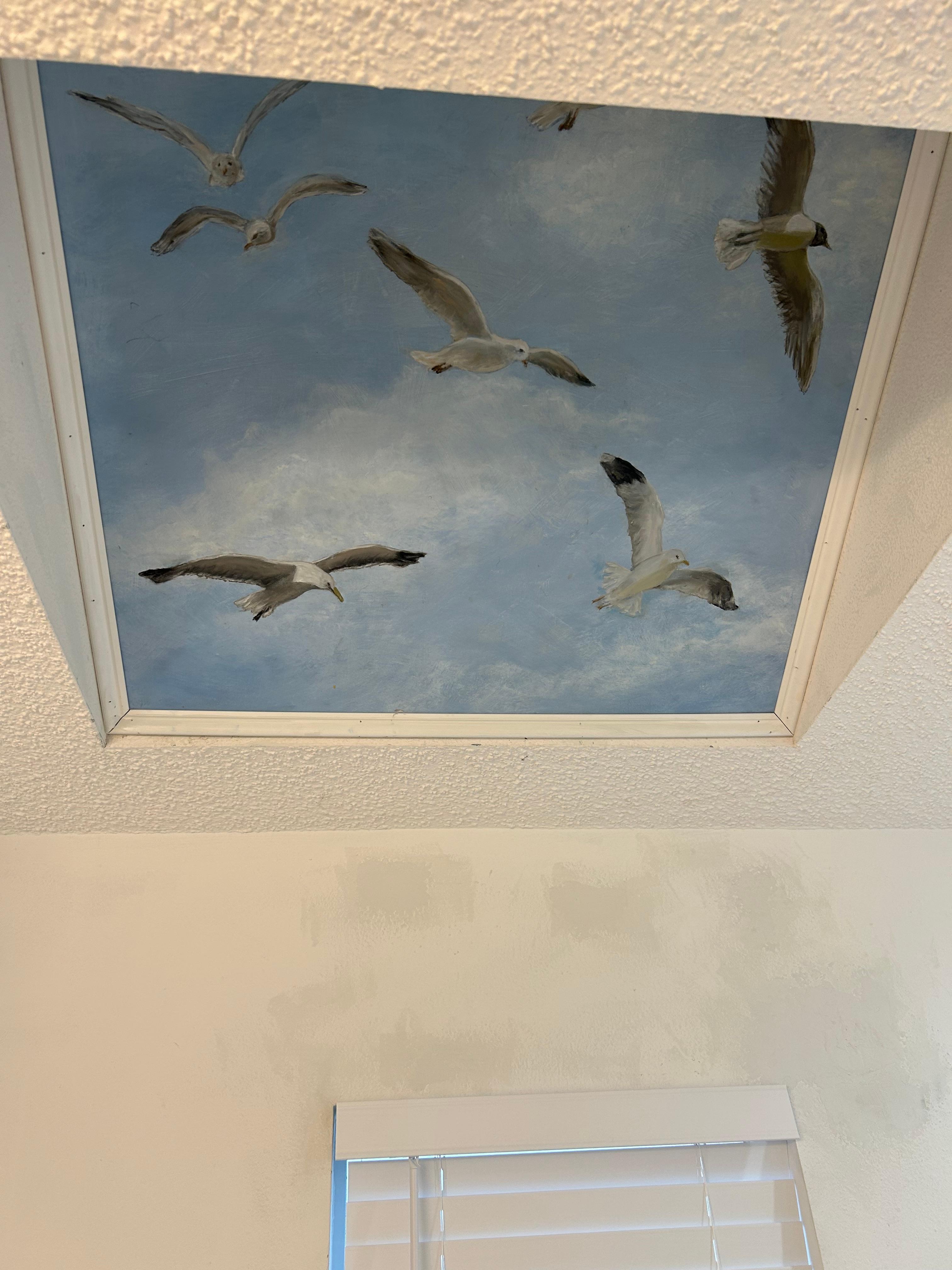 Skylight master bathroom 