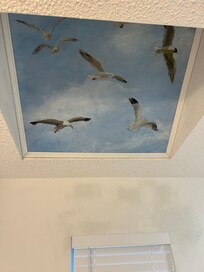 Skylight master bathroom