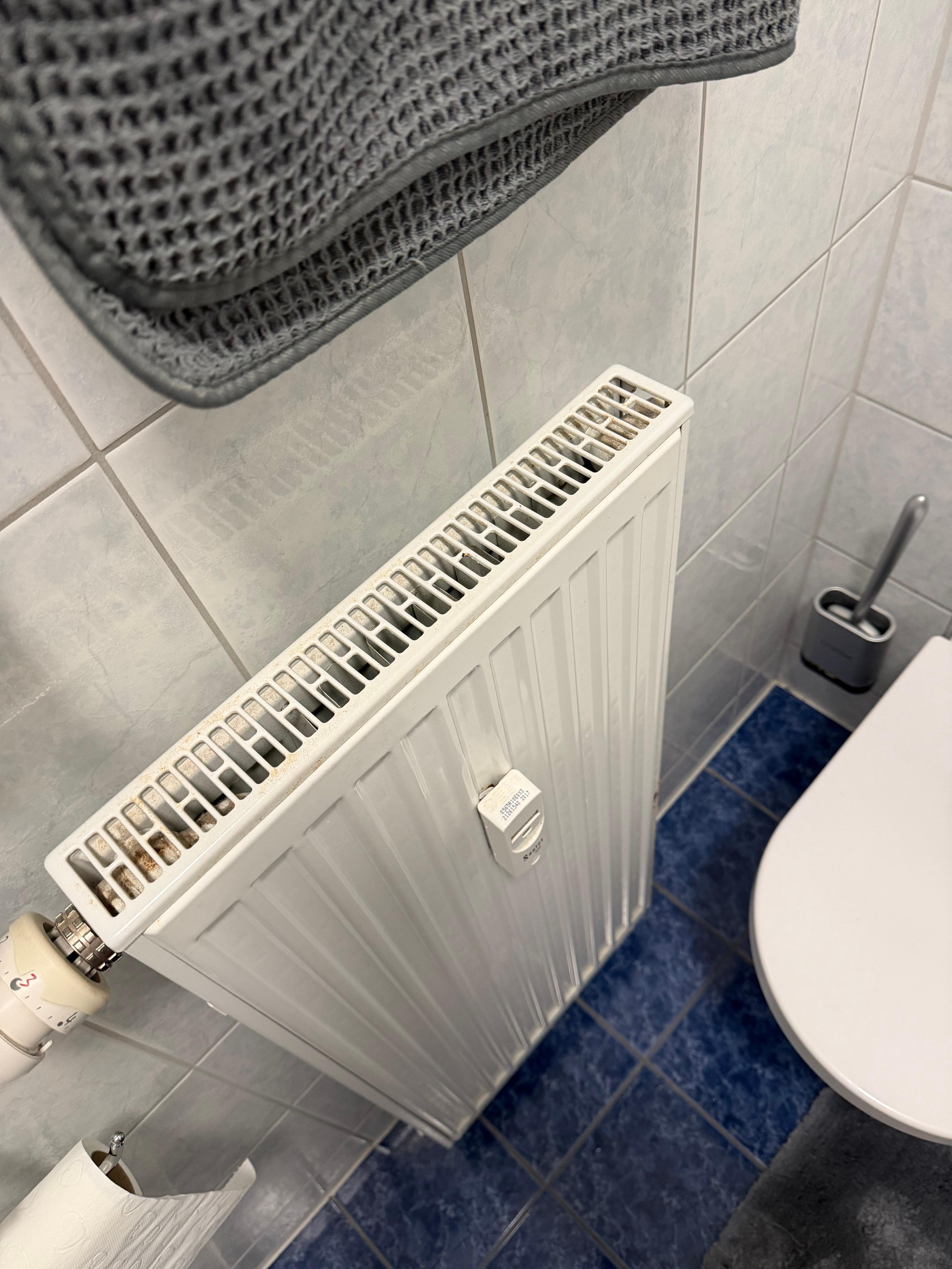 Schon alles bisschen angeschnuddelt. 