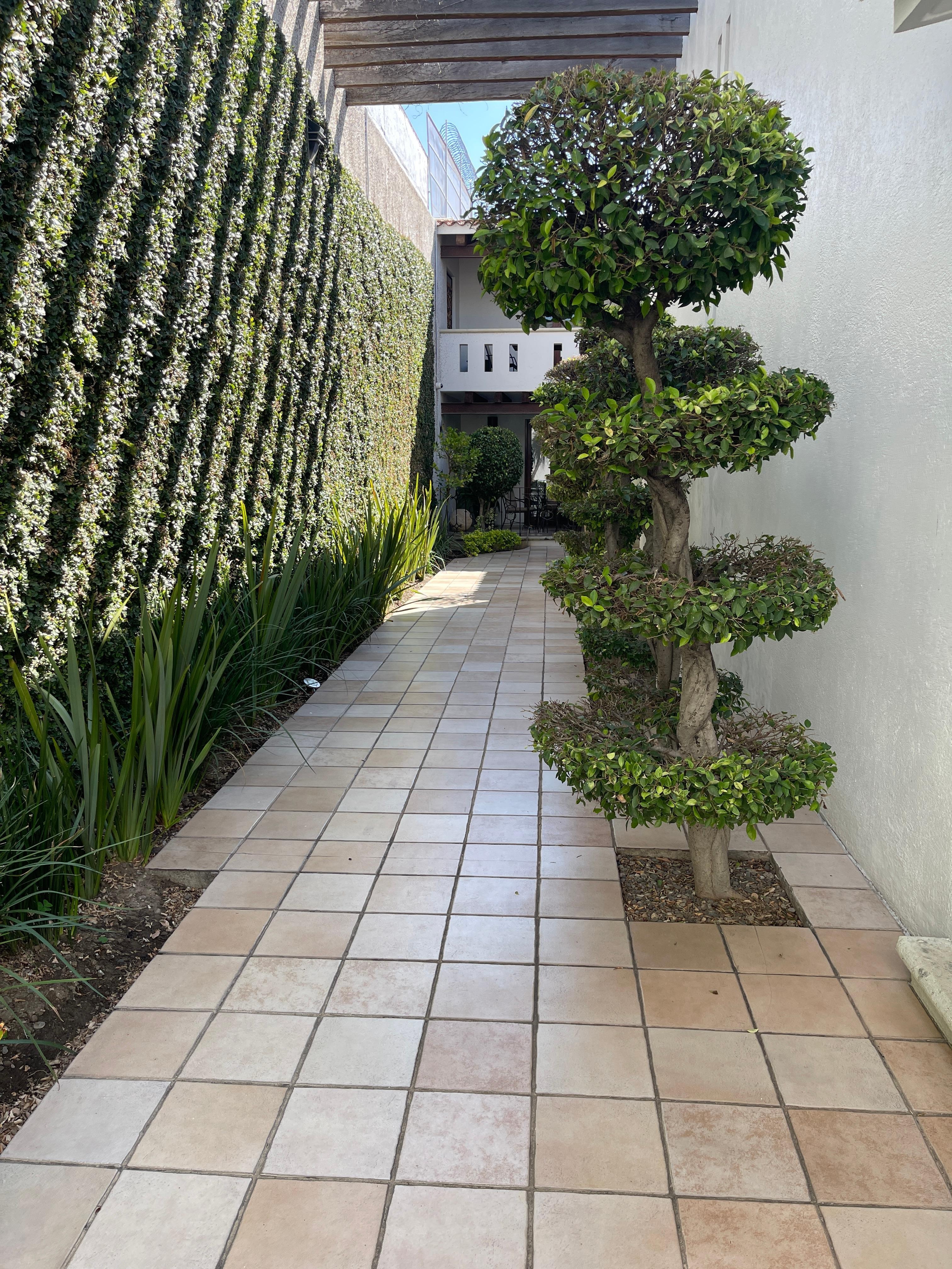 View of the courtyard 