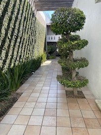 View of the courtyard