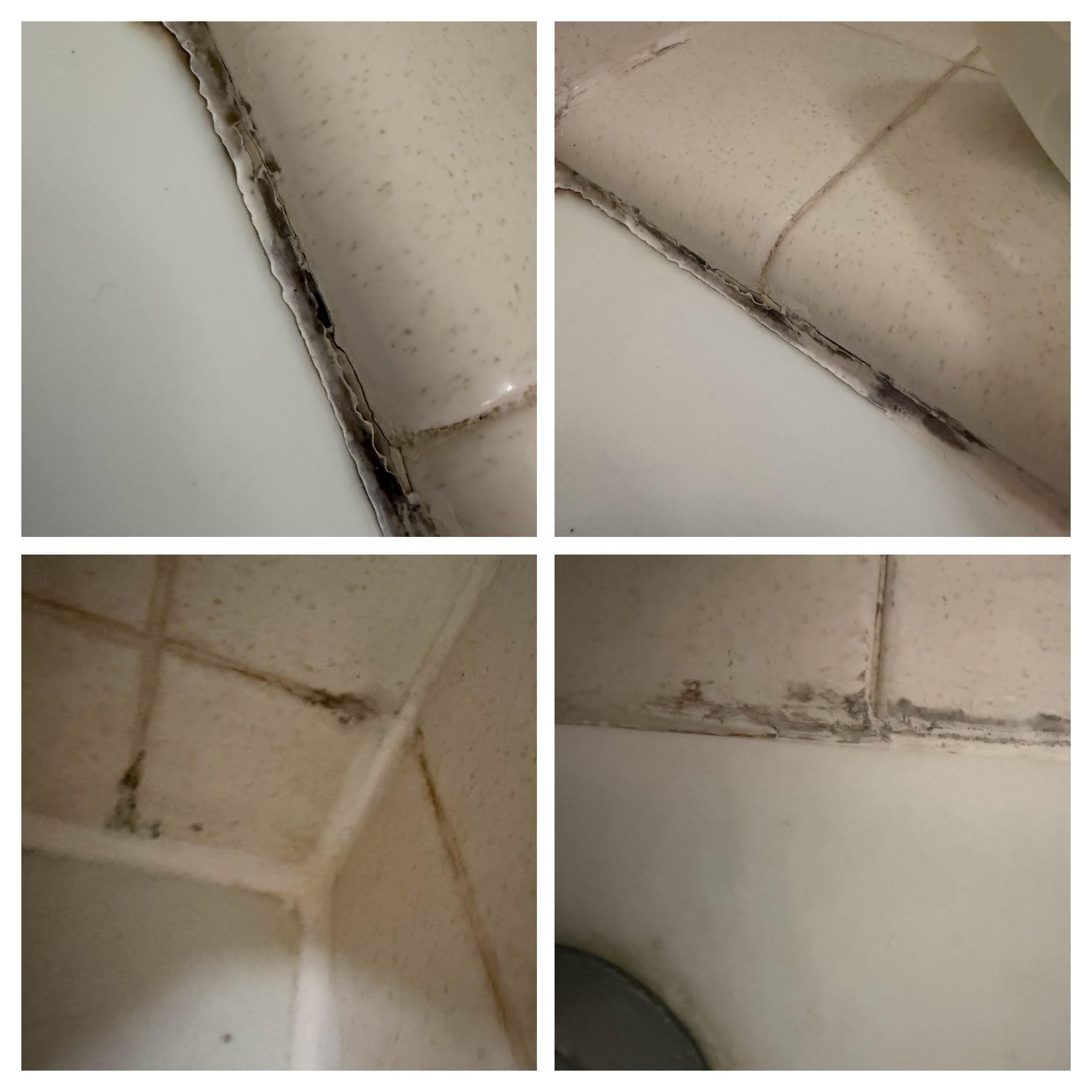 Mold & Grout - 
Black mold and mildew throughout bathroom tile grout and caulk seams, particularly along the tub surround.