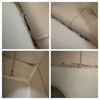 Mold & Grout -
Black mold and mildew throughout bathroom tile grout and caulk seams, particularly along the tub surround.