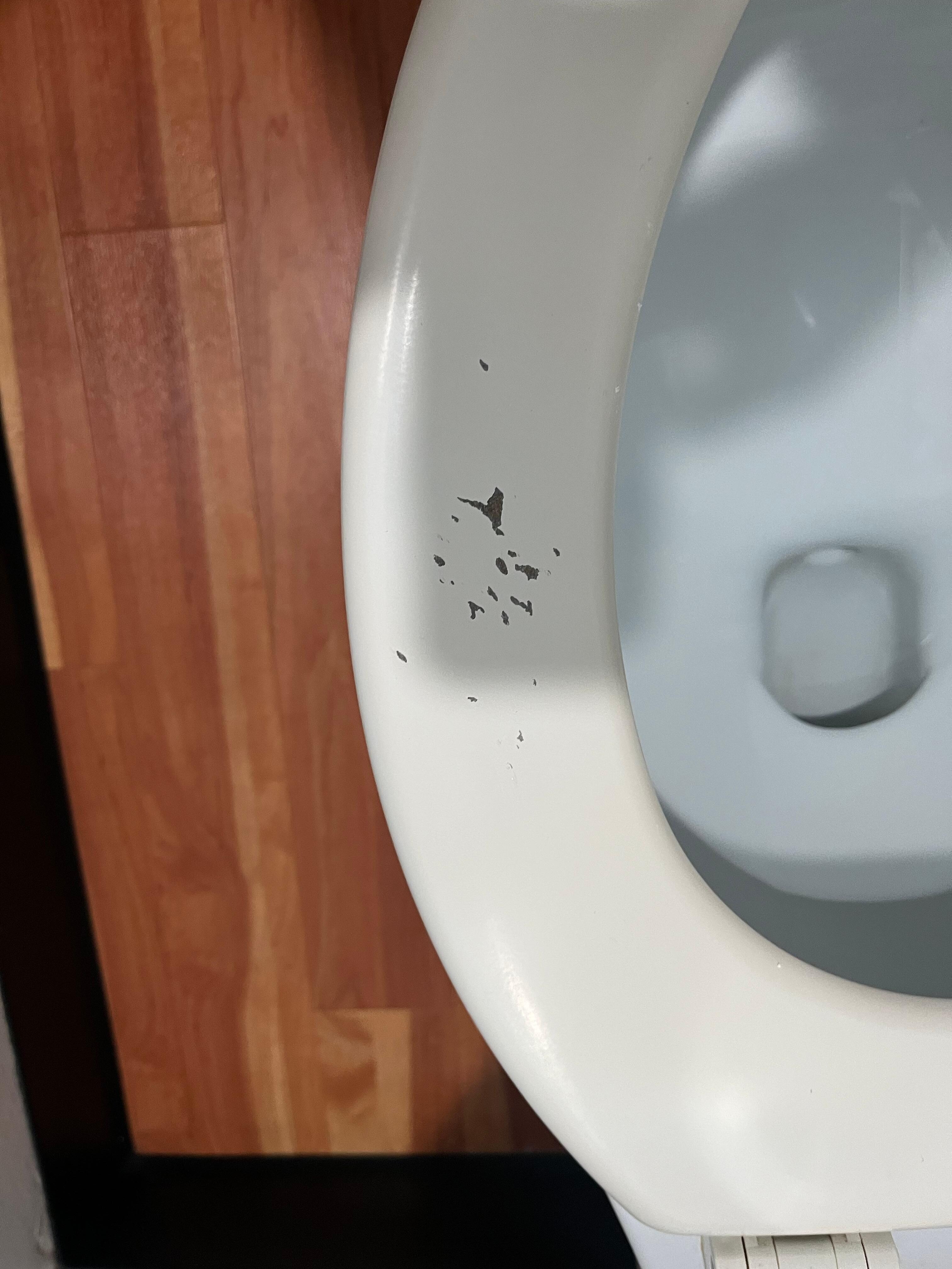 Toilet seat paint chipped