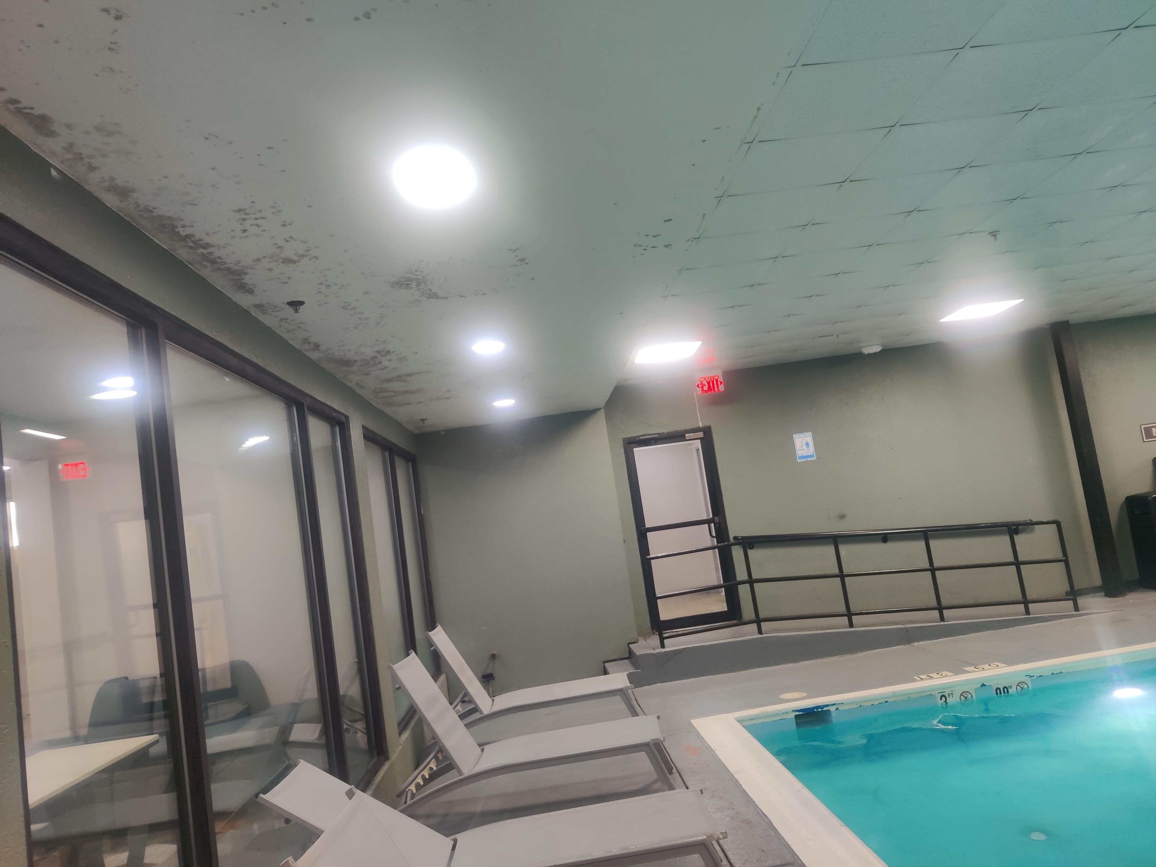 Mold on the ceiling in the swimming pool