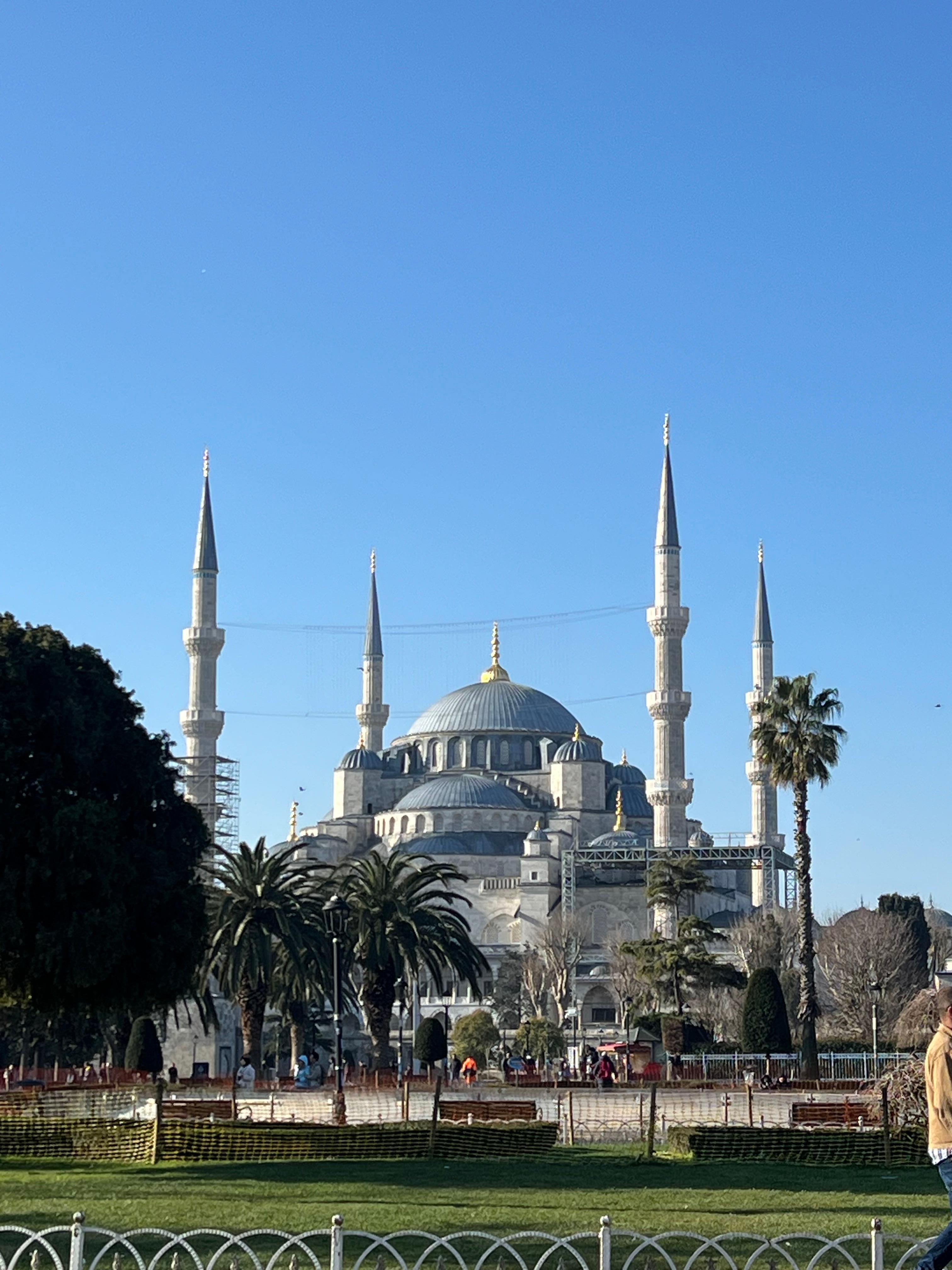 徒歩数分でこの景色