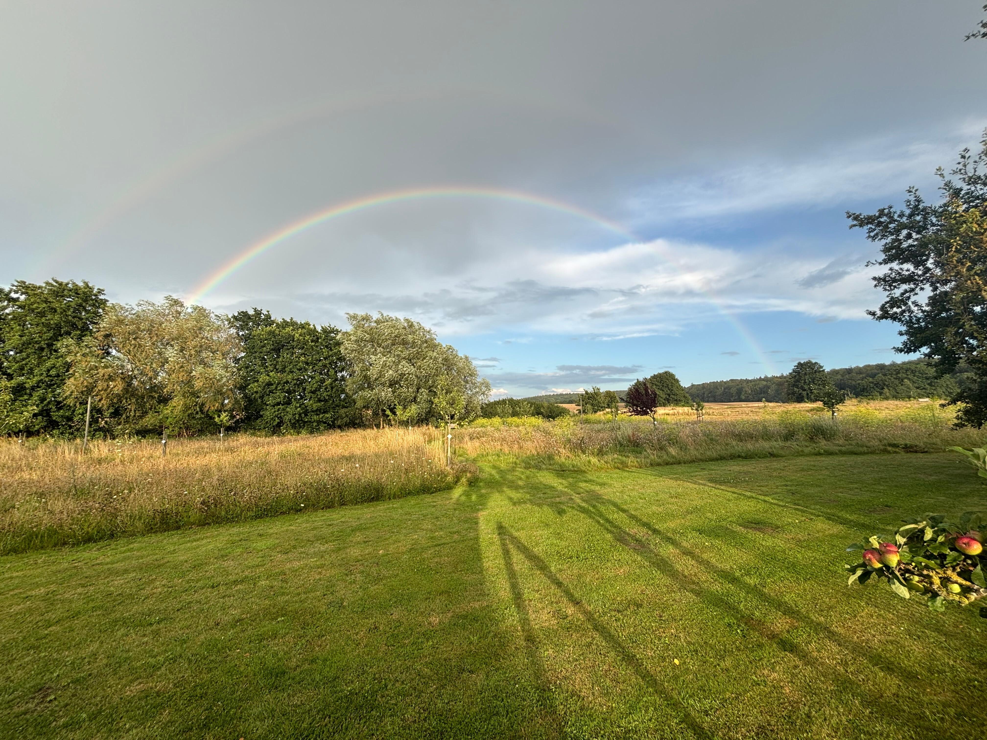 Blick vom Gartenhaus über die Streuobstwiese 