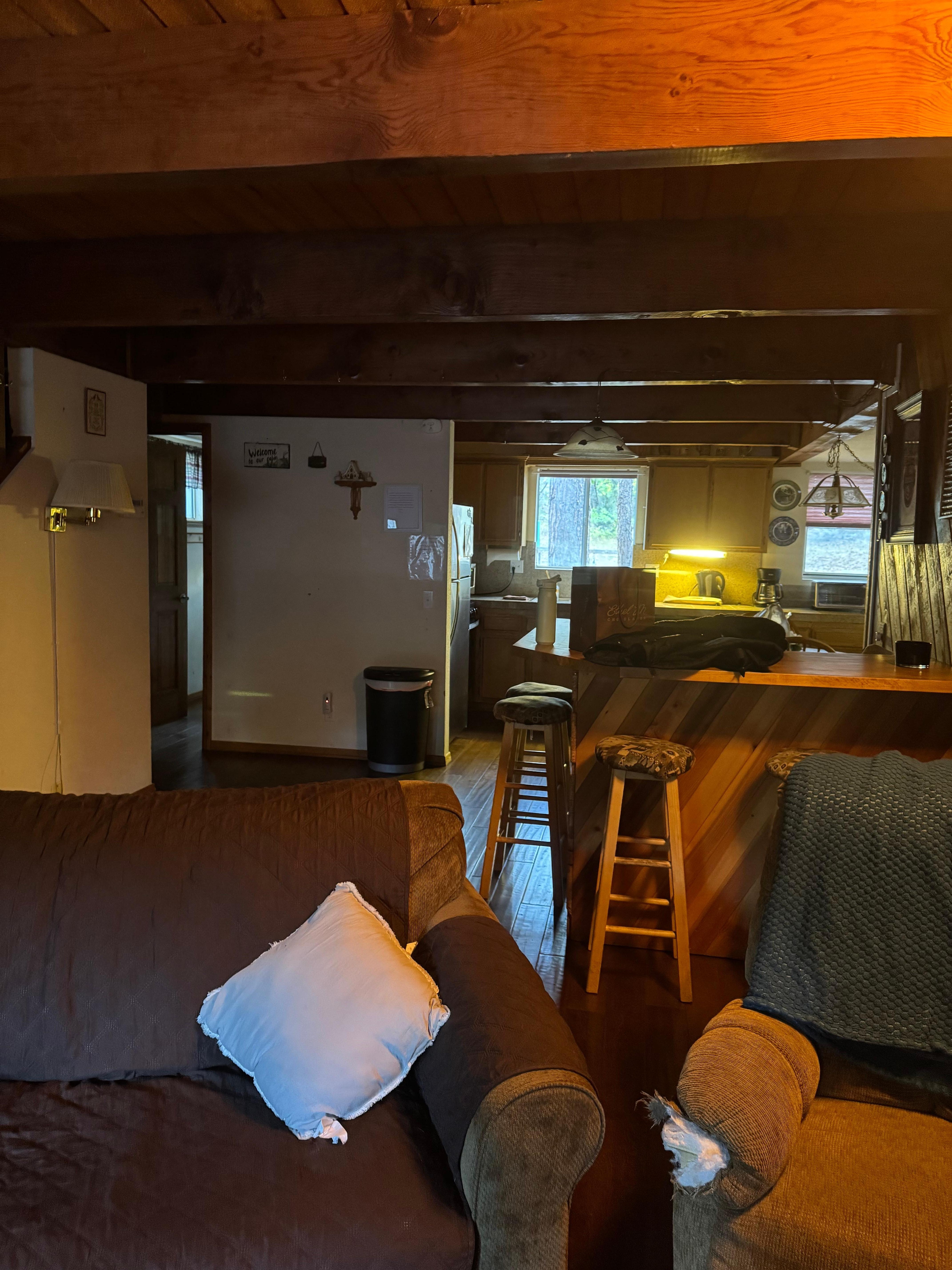 Living room to kitchen 