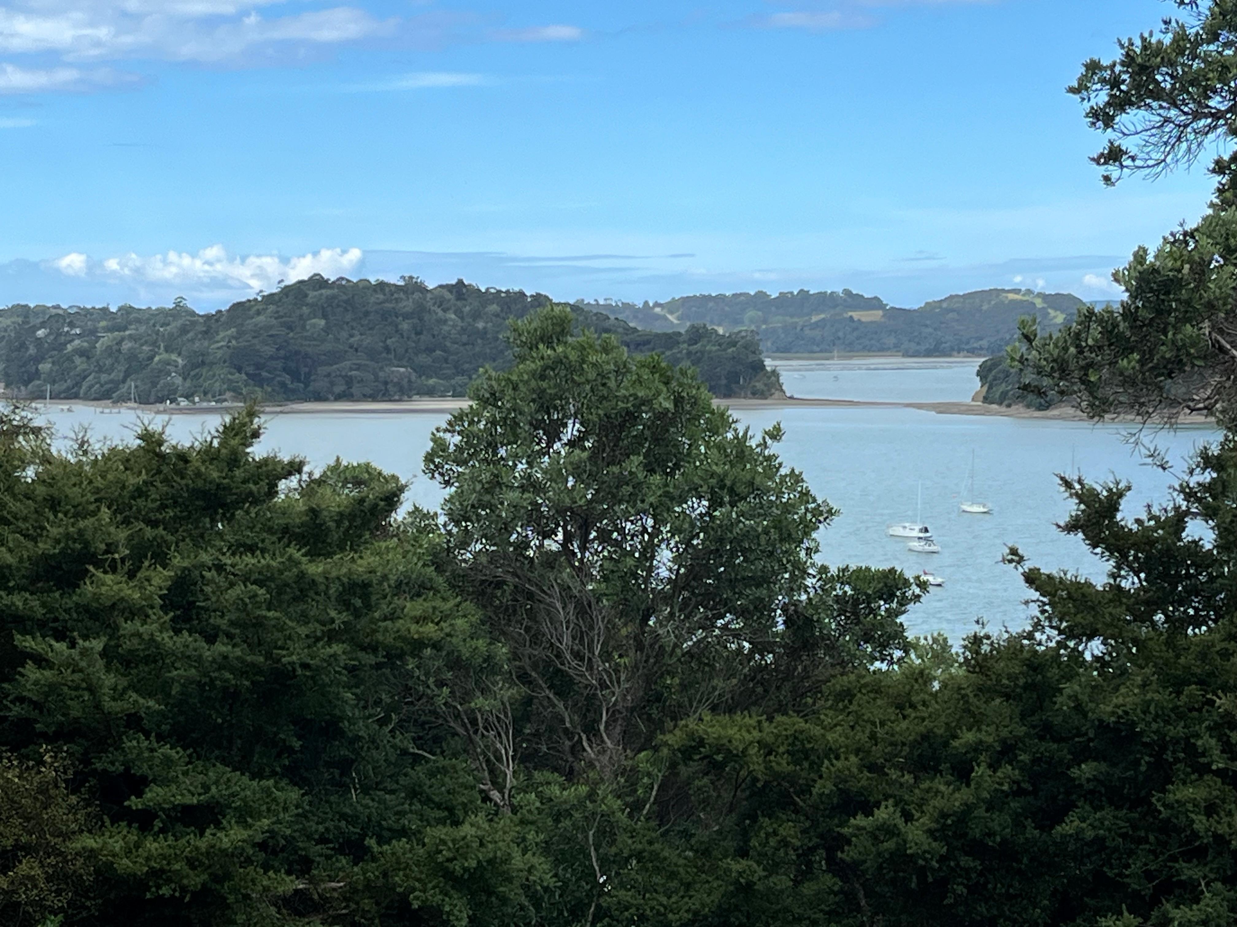 Our lovely view from the deck