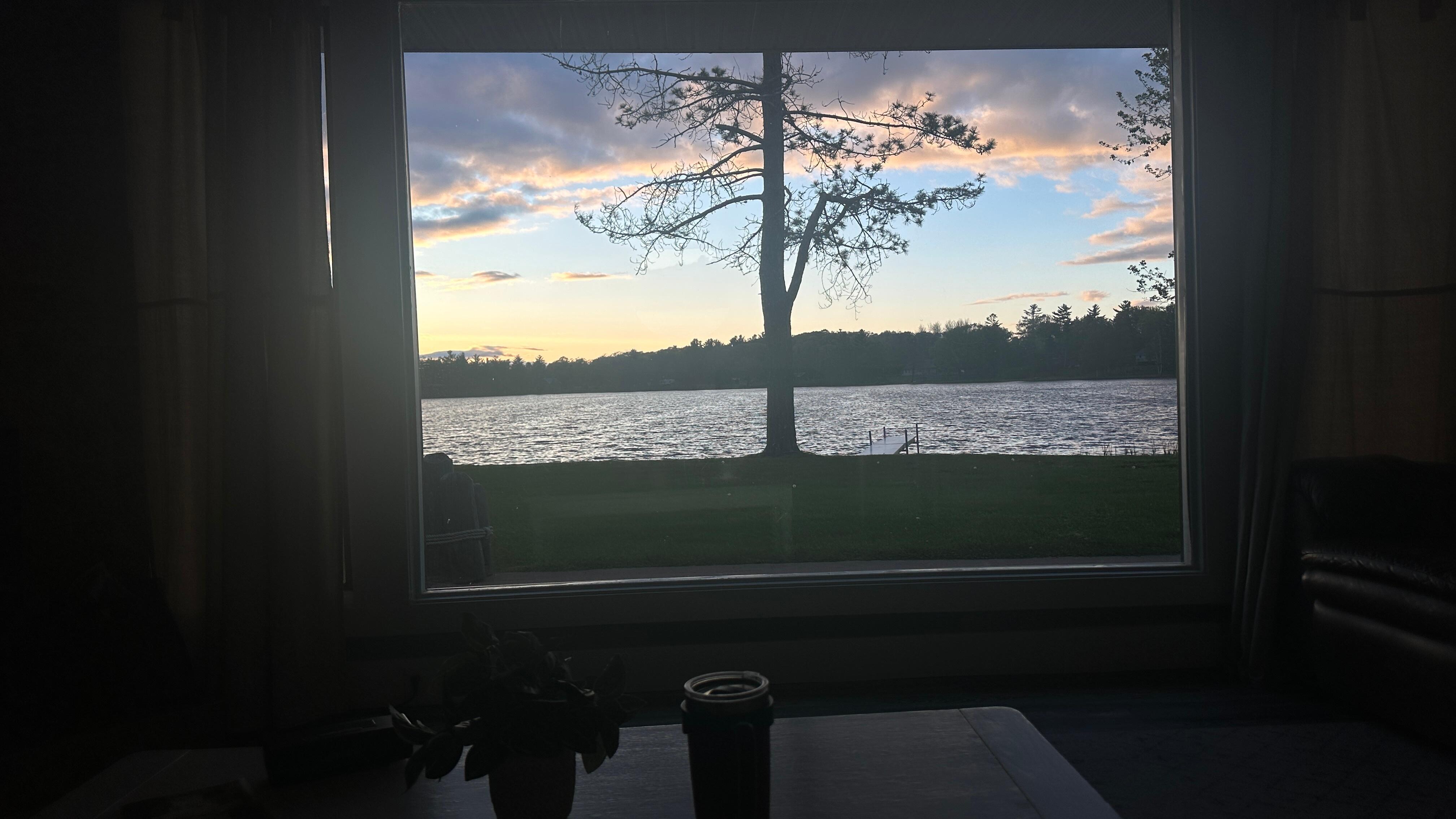 View from inside the bay window 
