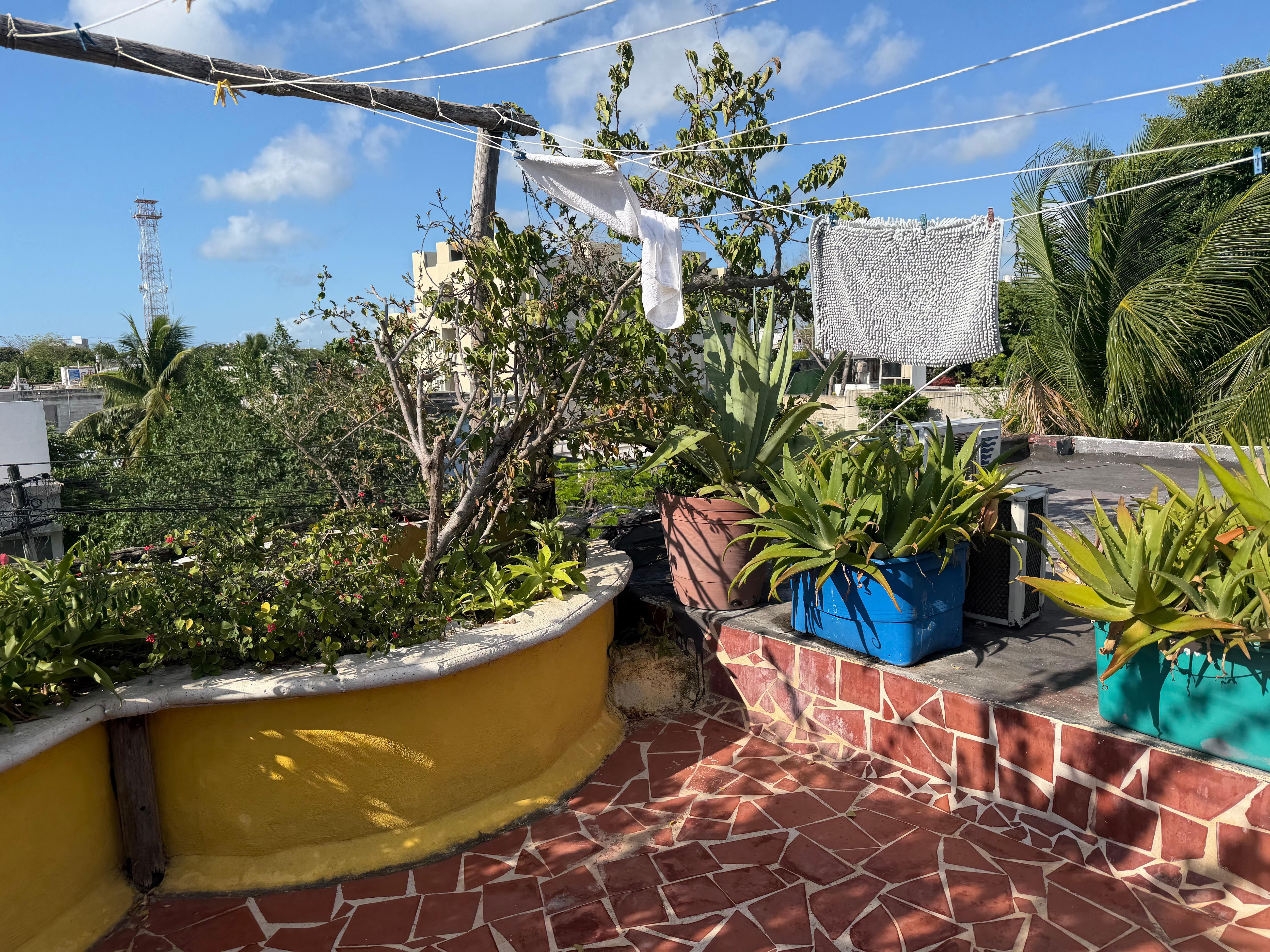 Roof top 