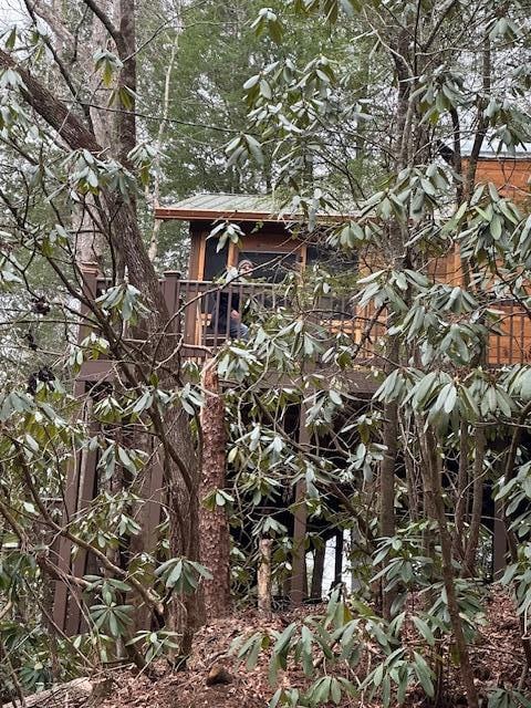 sideview of the cabin from the road