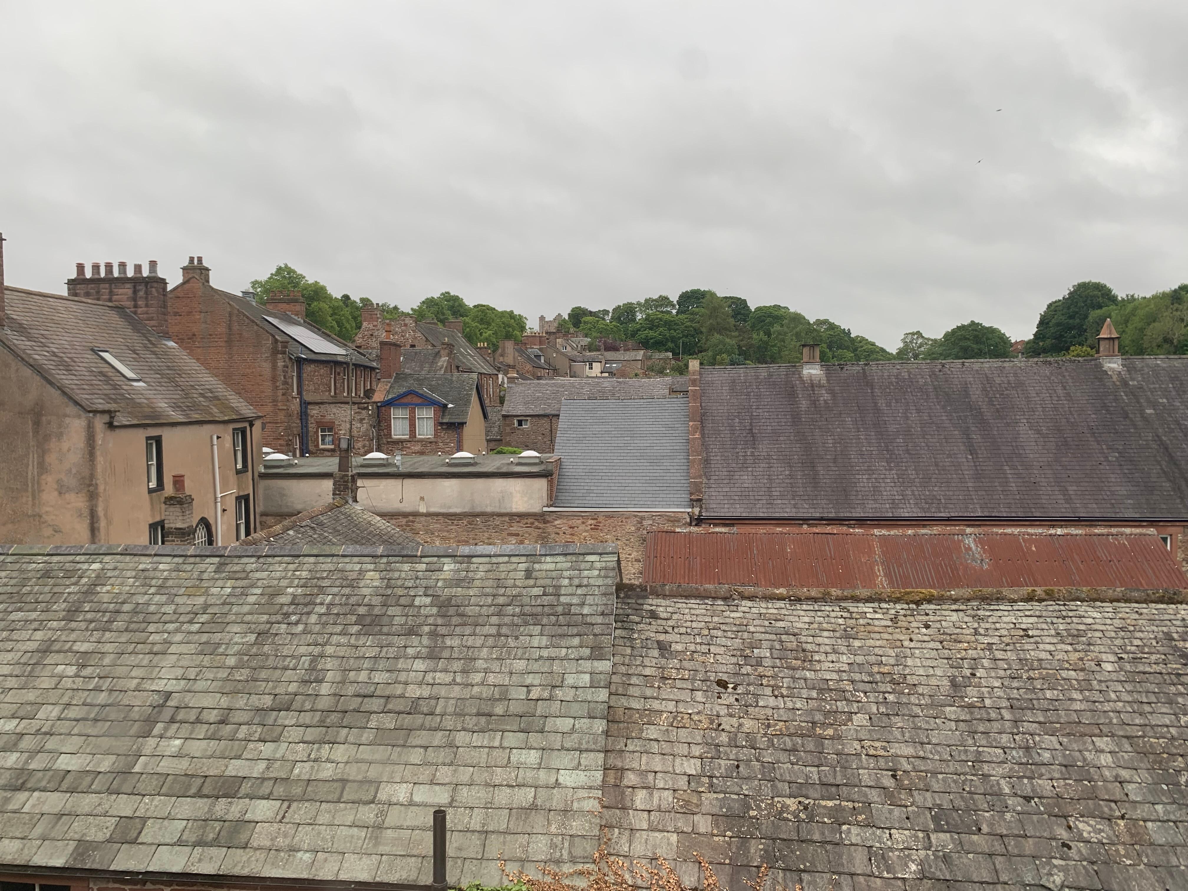 Room with a view 
