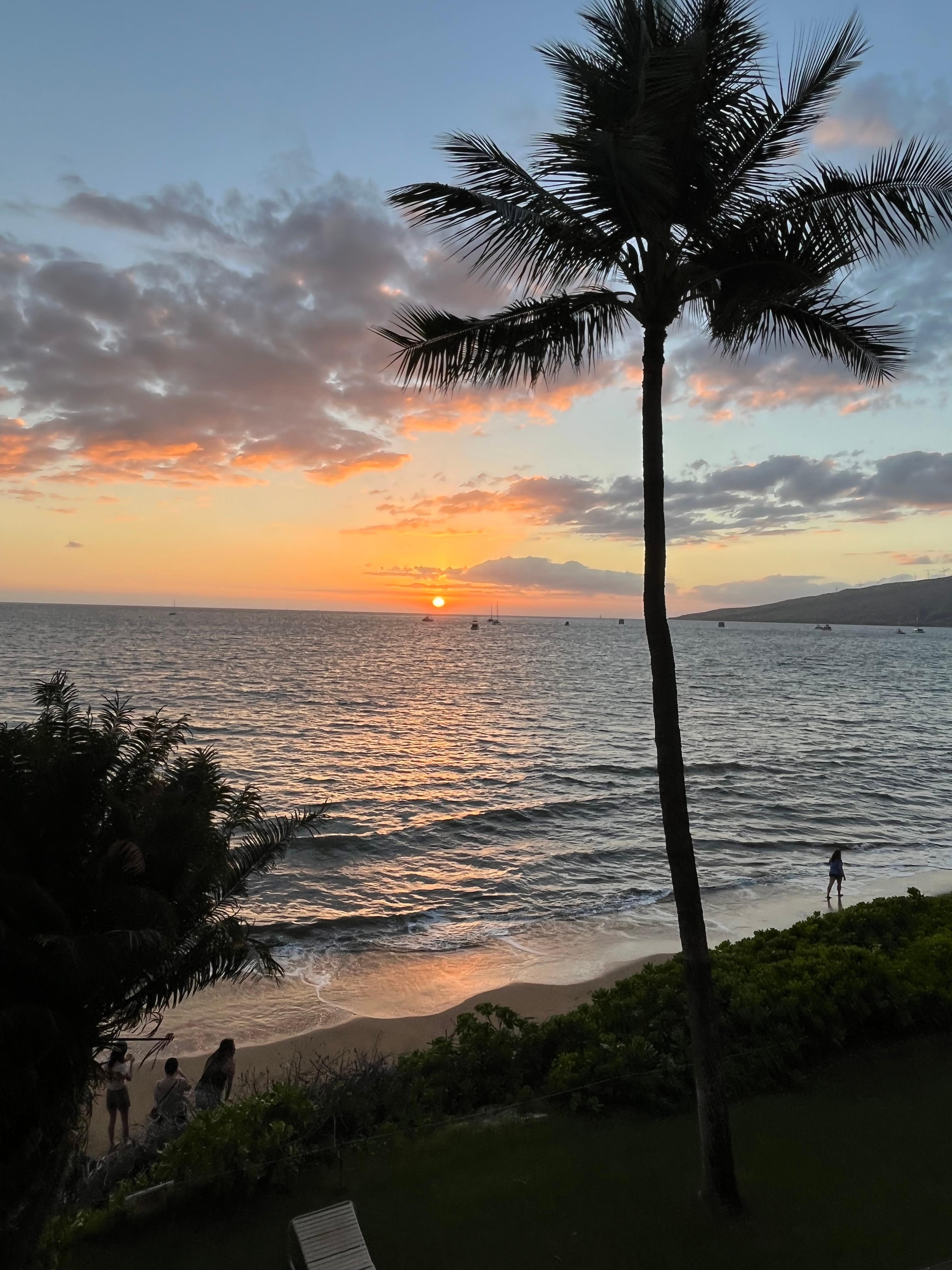 It will draw you in and you will not want to leave