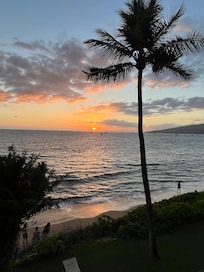 It will draw you in and you will not want to leave