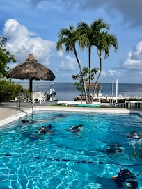 Open Water certification dive training in the pool