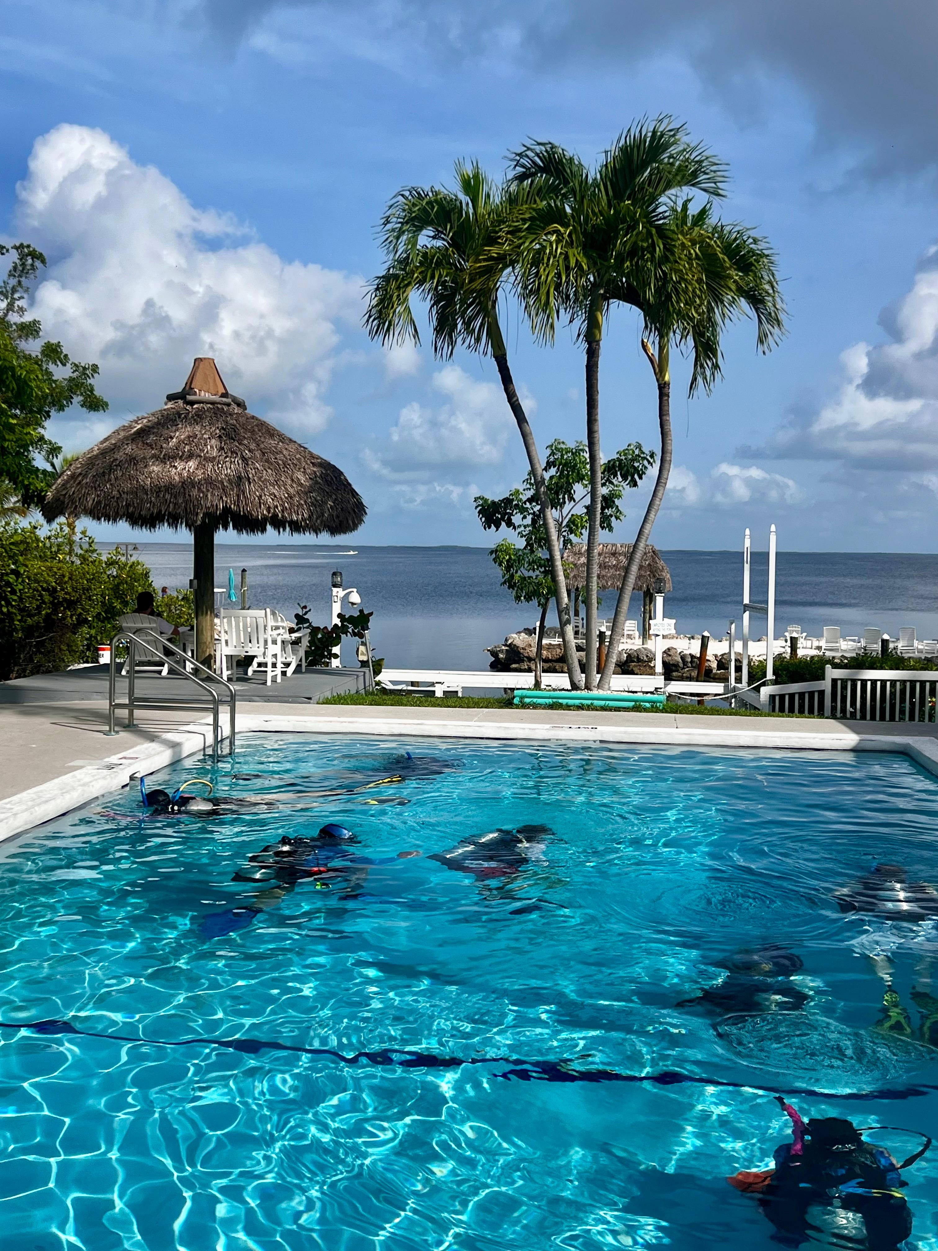 Open Water certification dive training in the pool