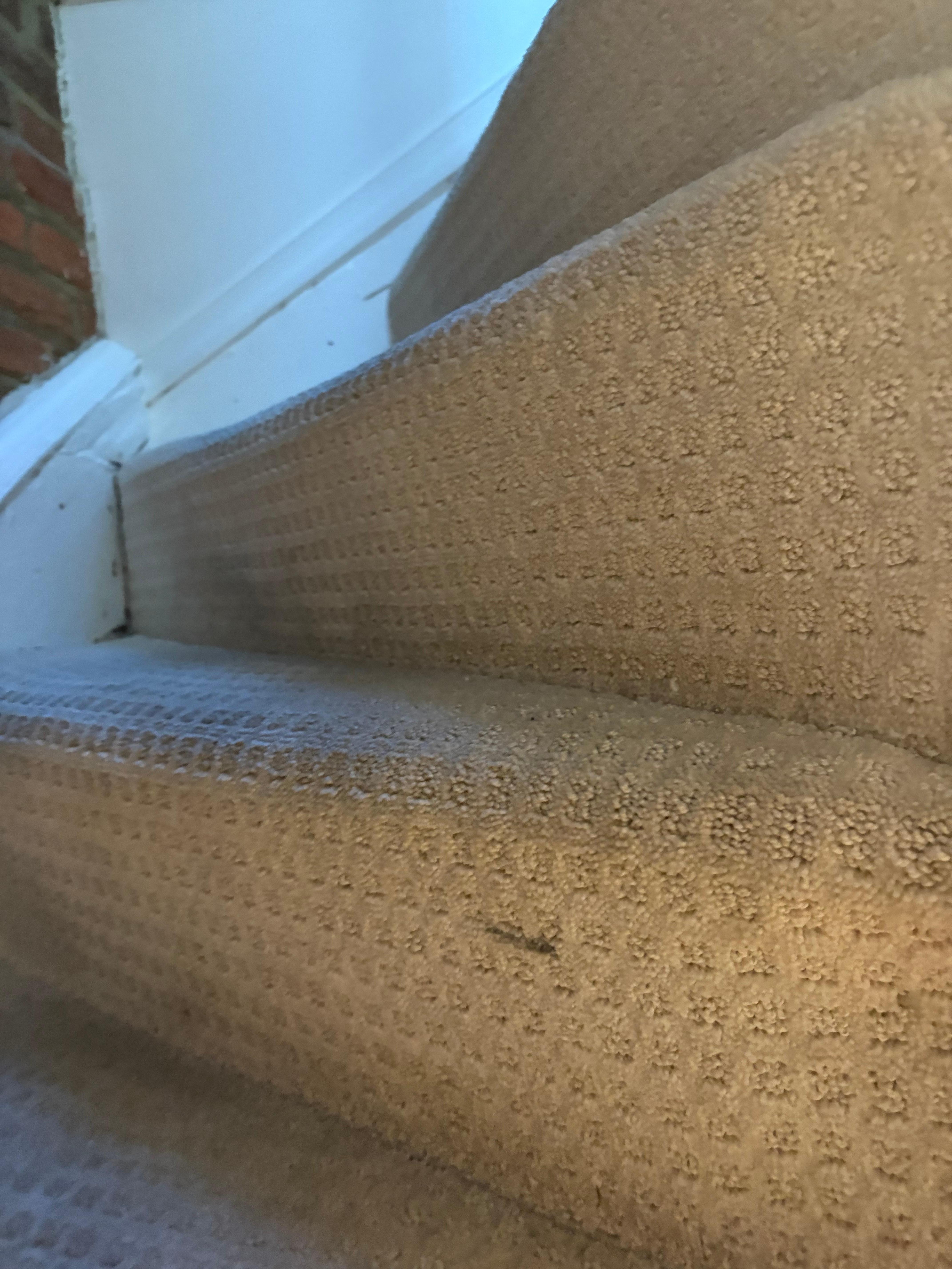 Stairs to the bedroom 