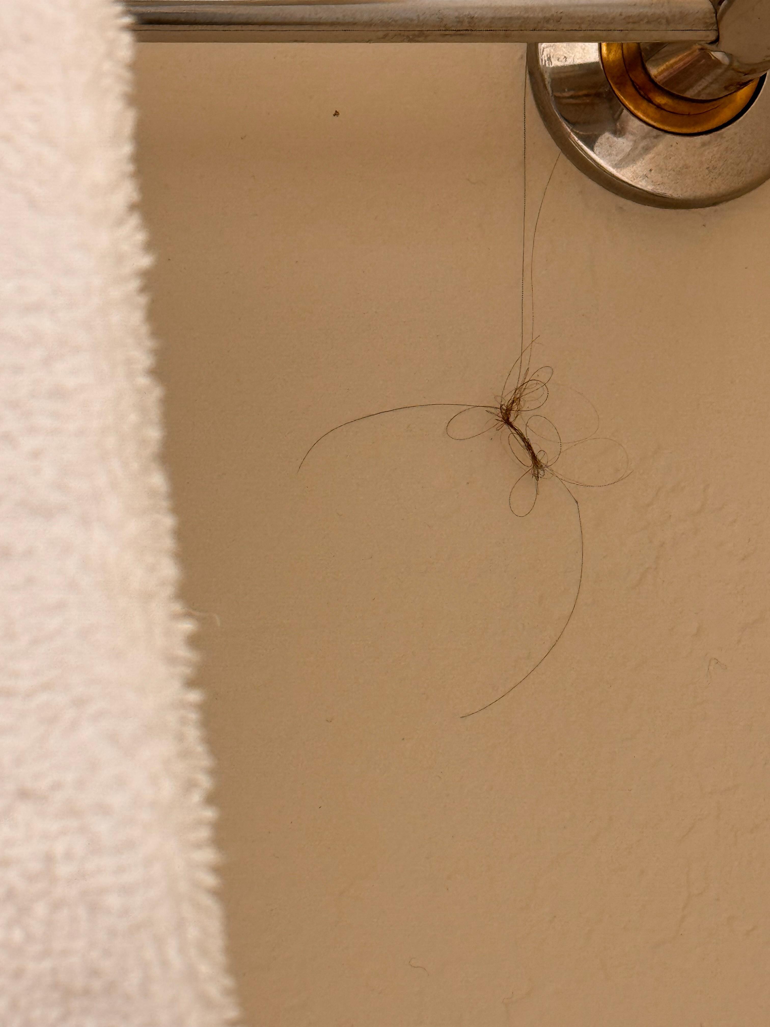 Hair hanging from the towel rack.