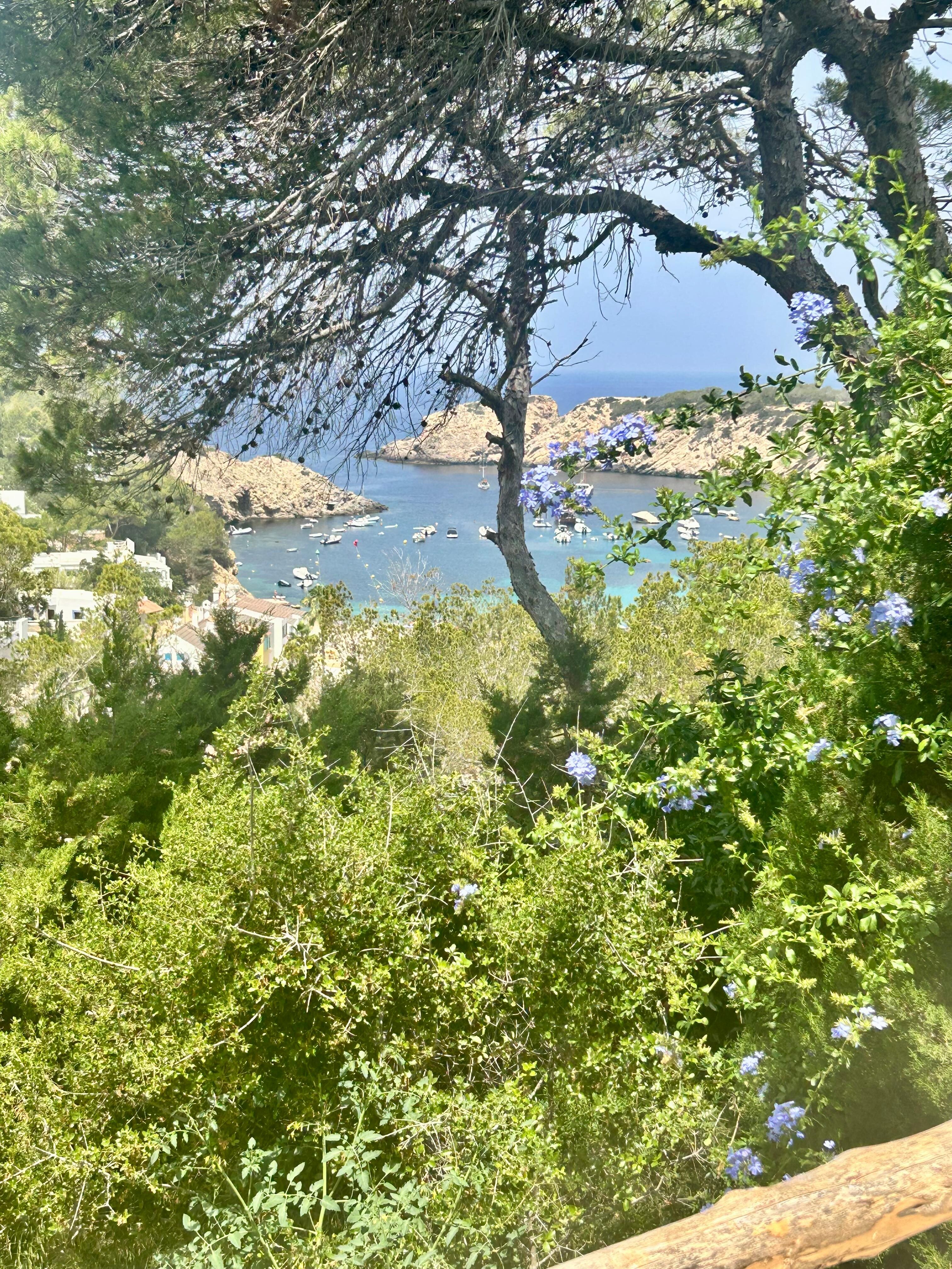 View from the balcony.