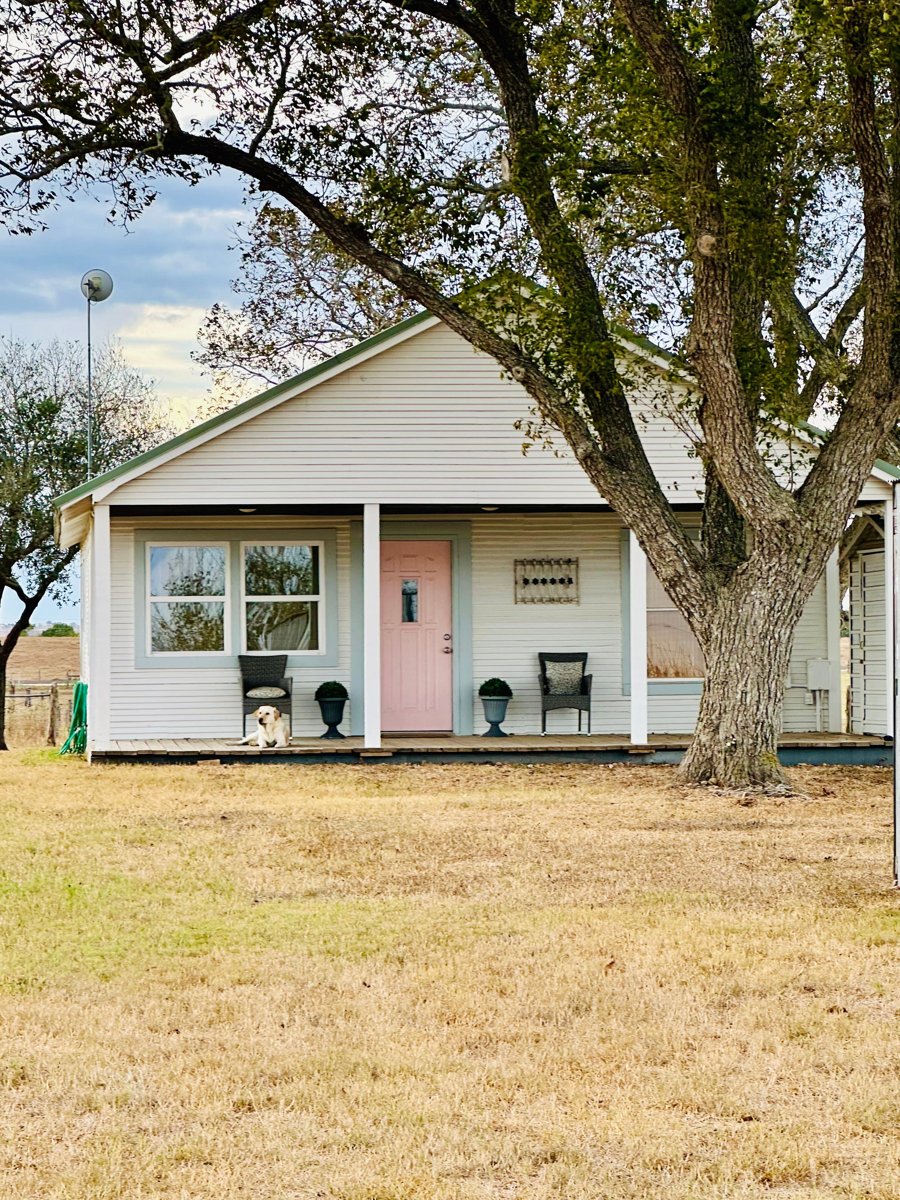 Dog loved the porch and watching the cows.