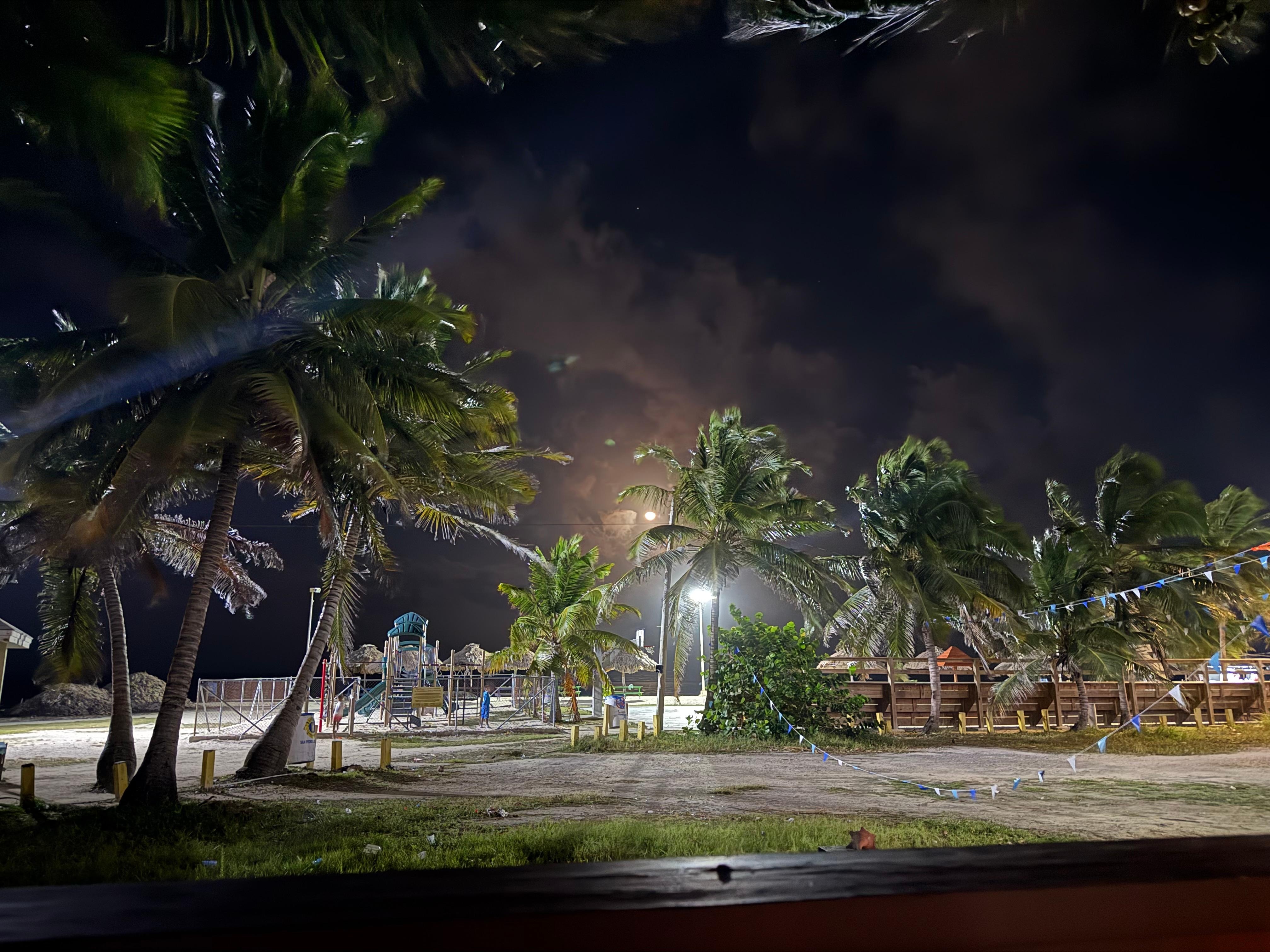 View from back porch at night