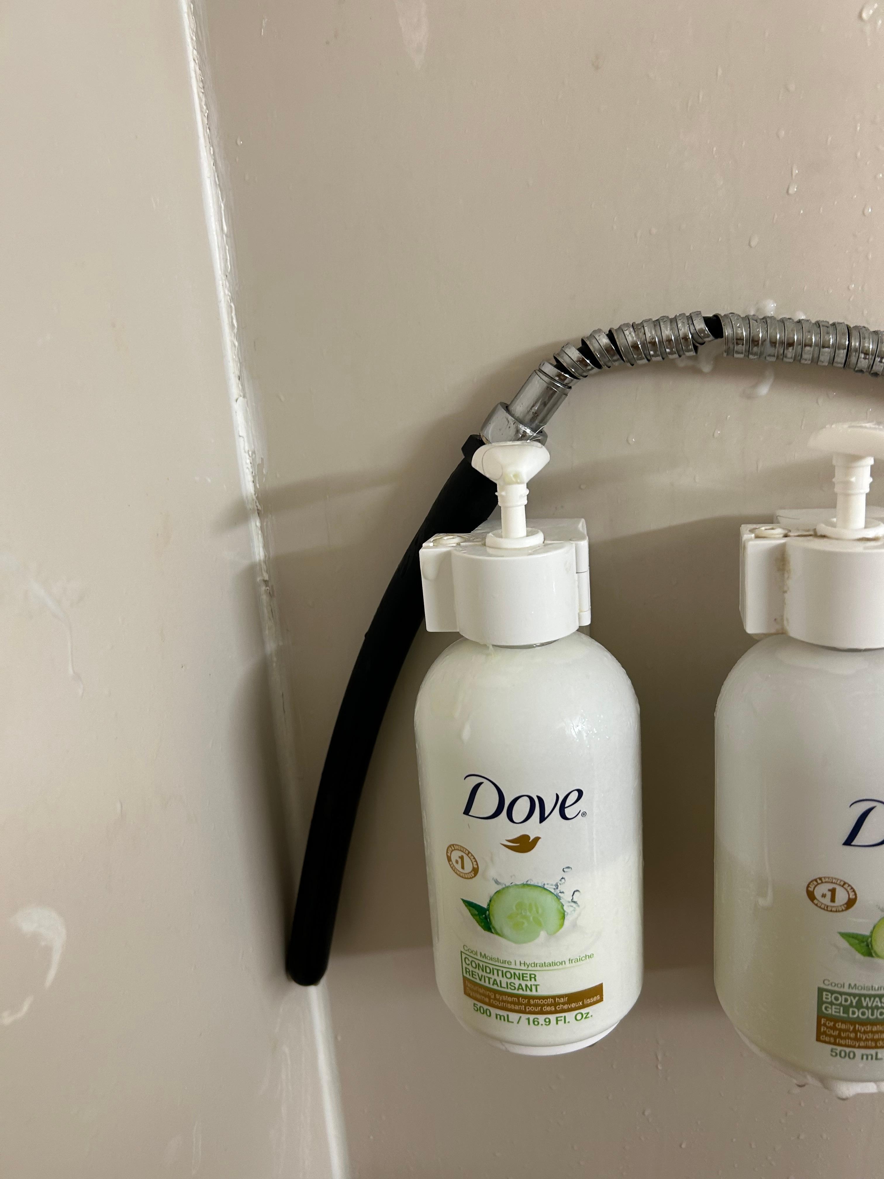 Very dirty around the bottles they have this black thing not sure what it’s for just hanging