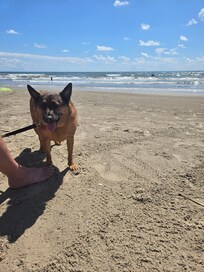 Close to the beach