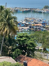 Harbour view