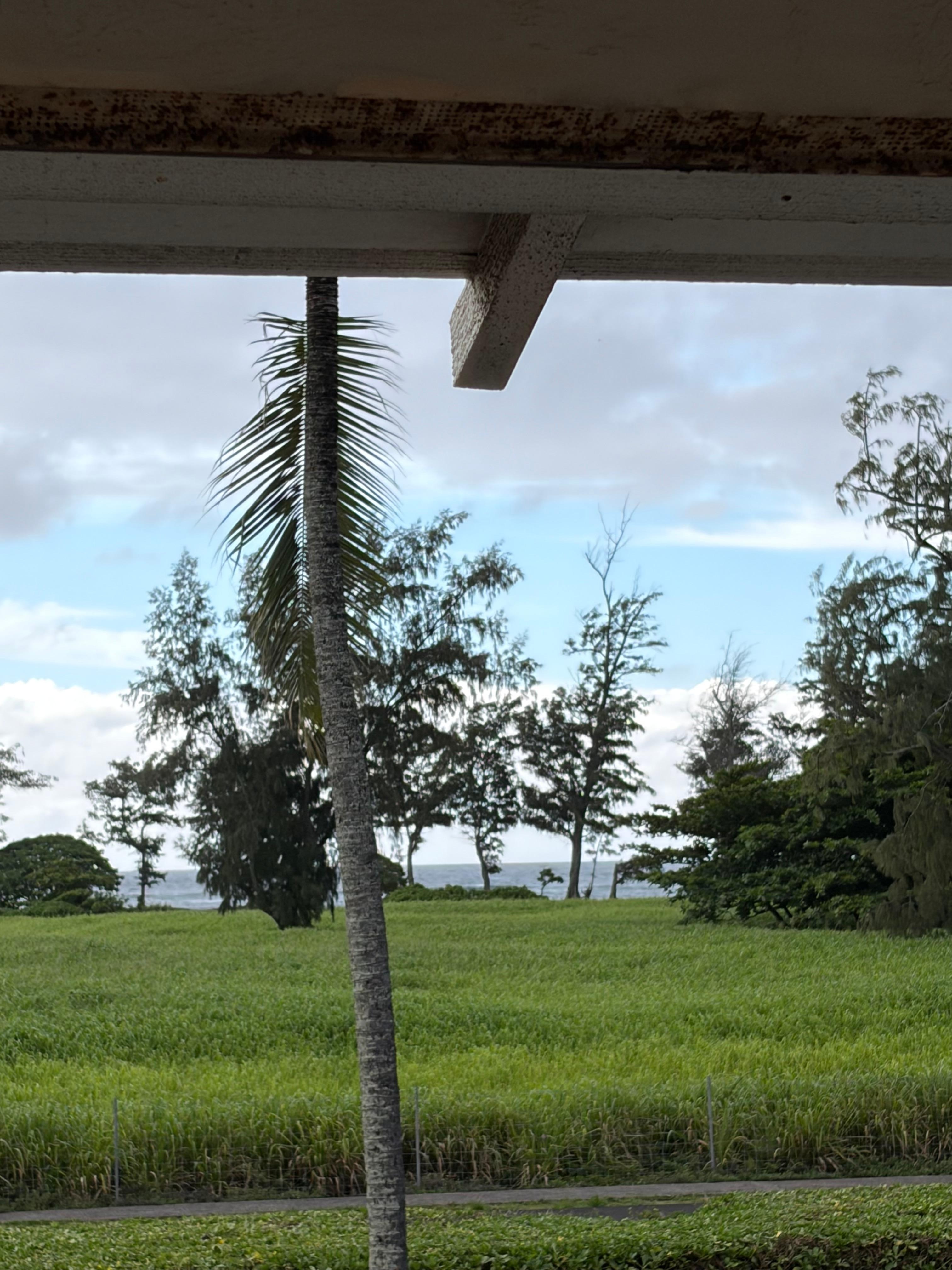 This is the ocean view from the condo with a direct path to a 5.5 mile beach walking path. 