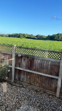View from conservatory across the field