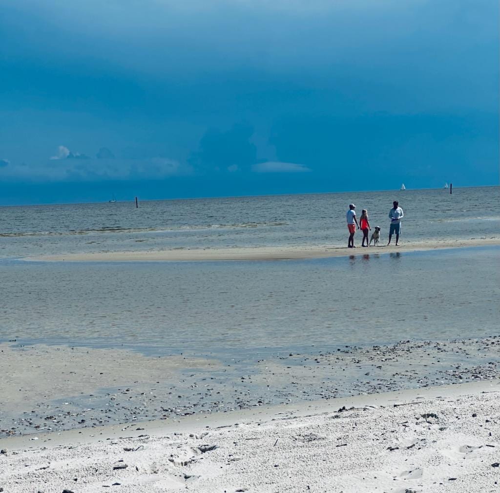We explored the sand bar all to ourselves. 