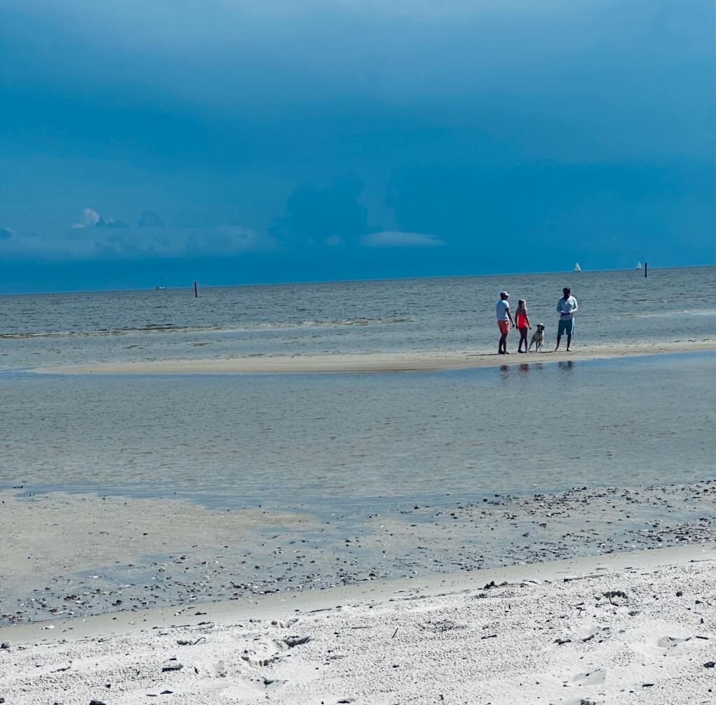 We explored the sand bar all to ourselves. 