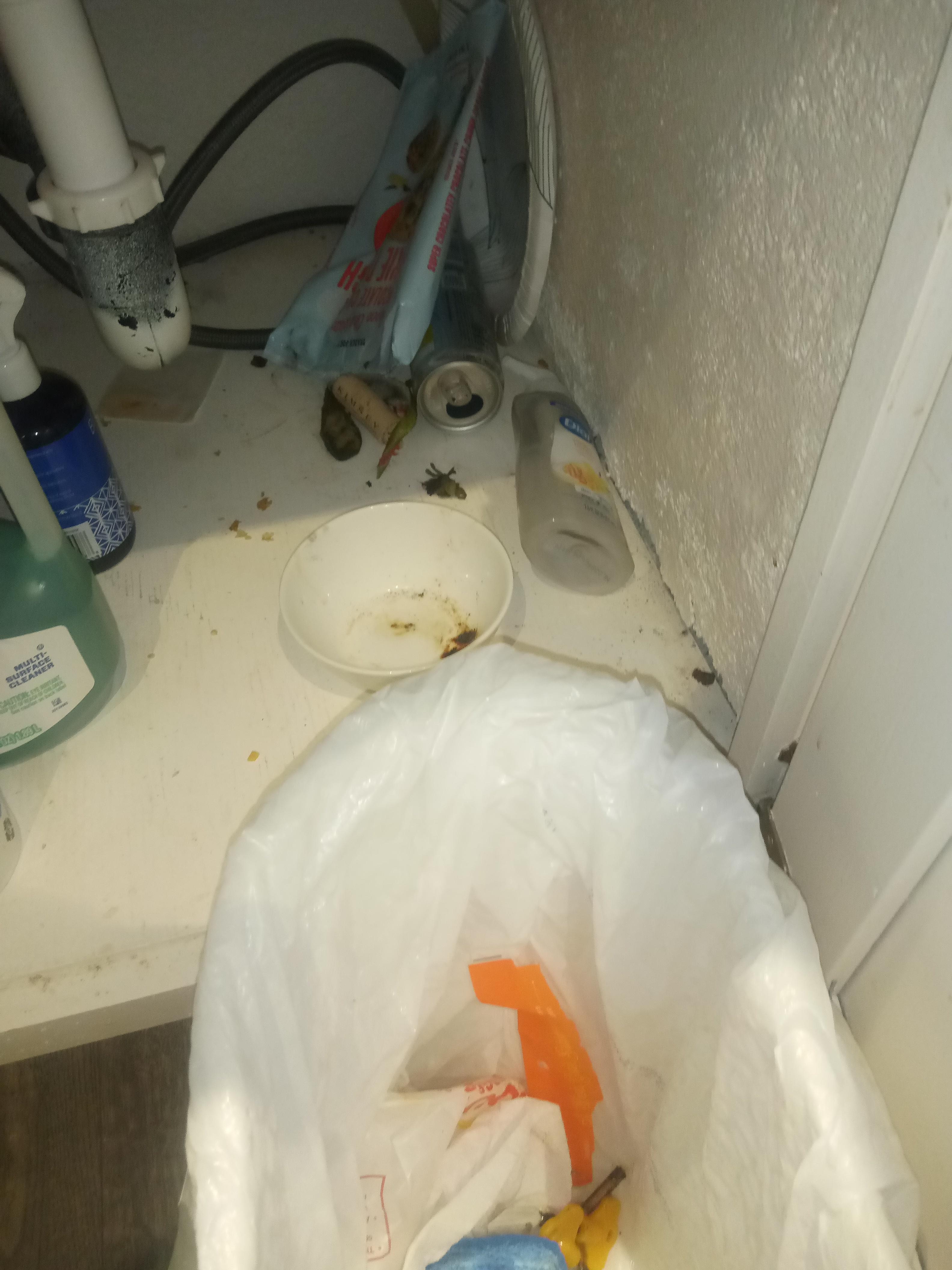 garbage under sink....after we had partially cleaned