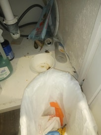 garbage under sink....after we had partially cleaned