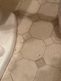 Dirty bathroom