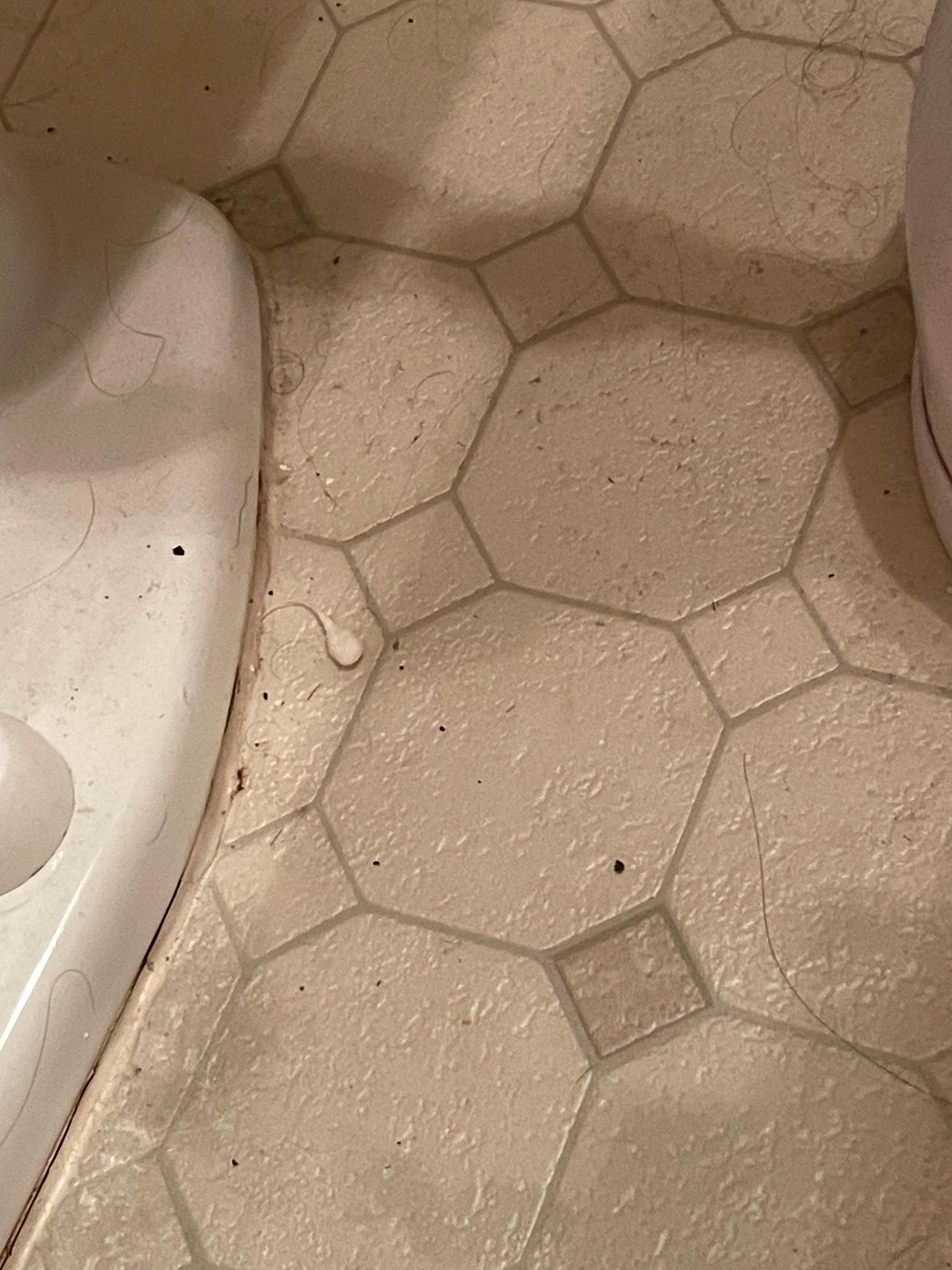 Dirty bathroom 