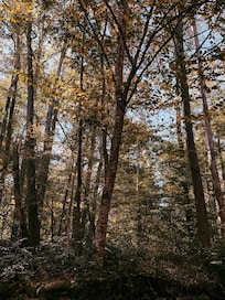 Right outside the balcony.