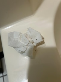 Killed bugs in the bathtub
