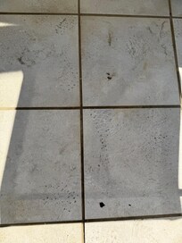 Dirt was tracked inside