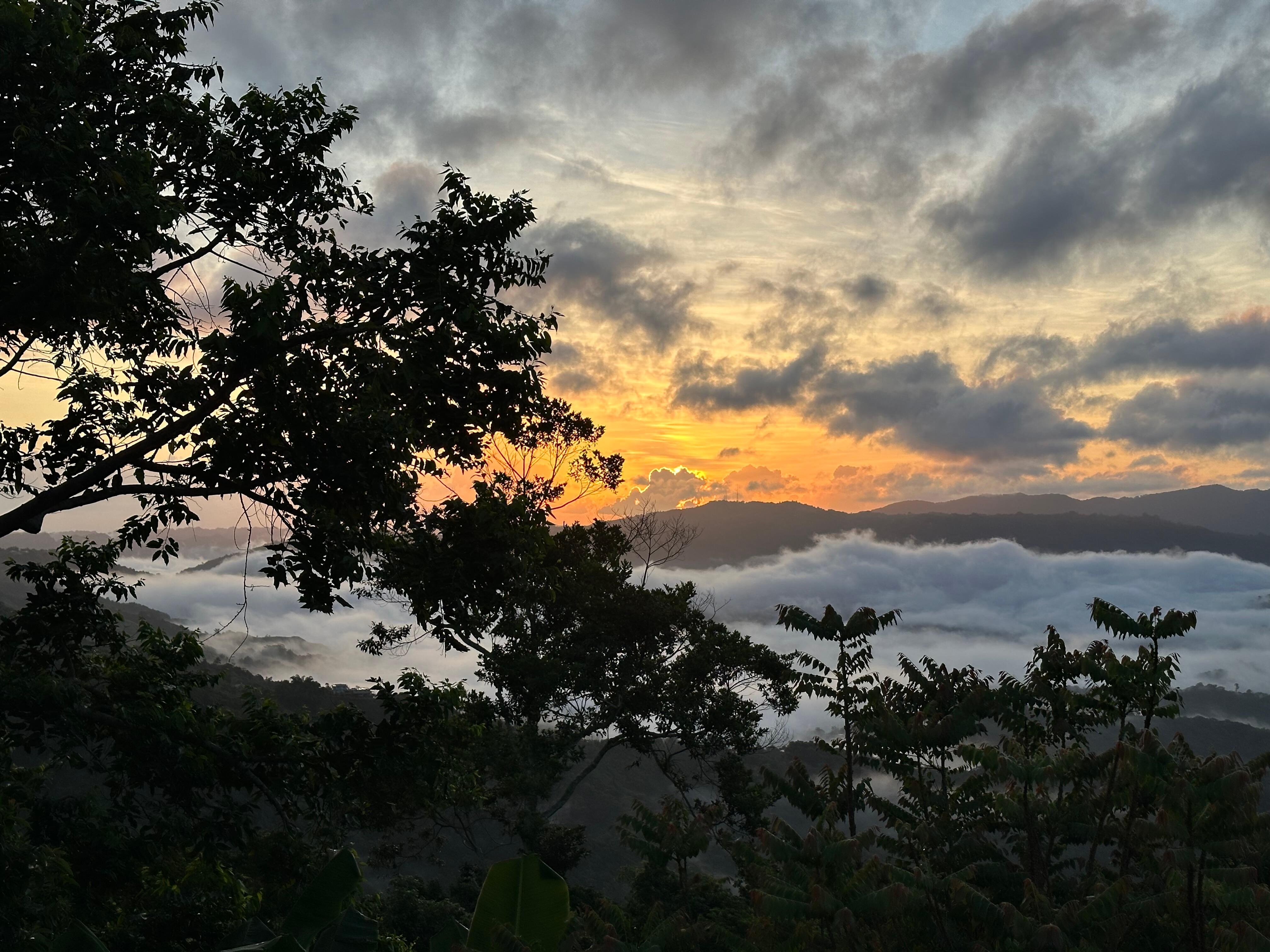 Sunrise view from the pool