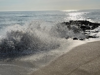 The surf calls