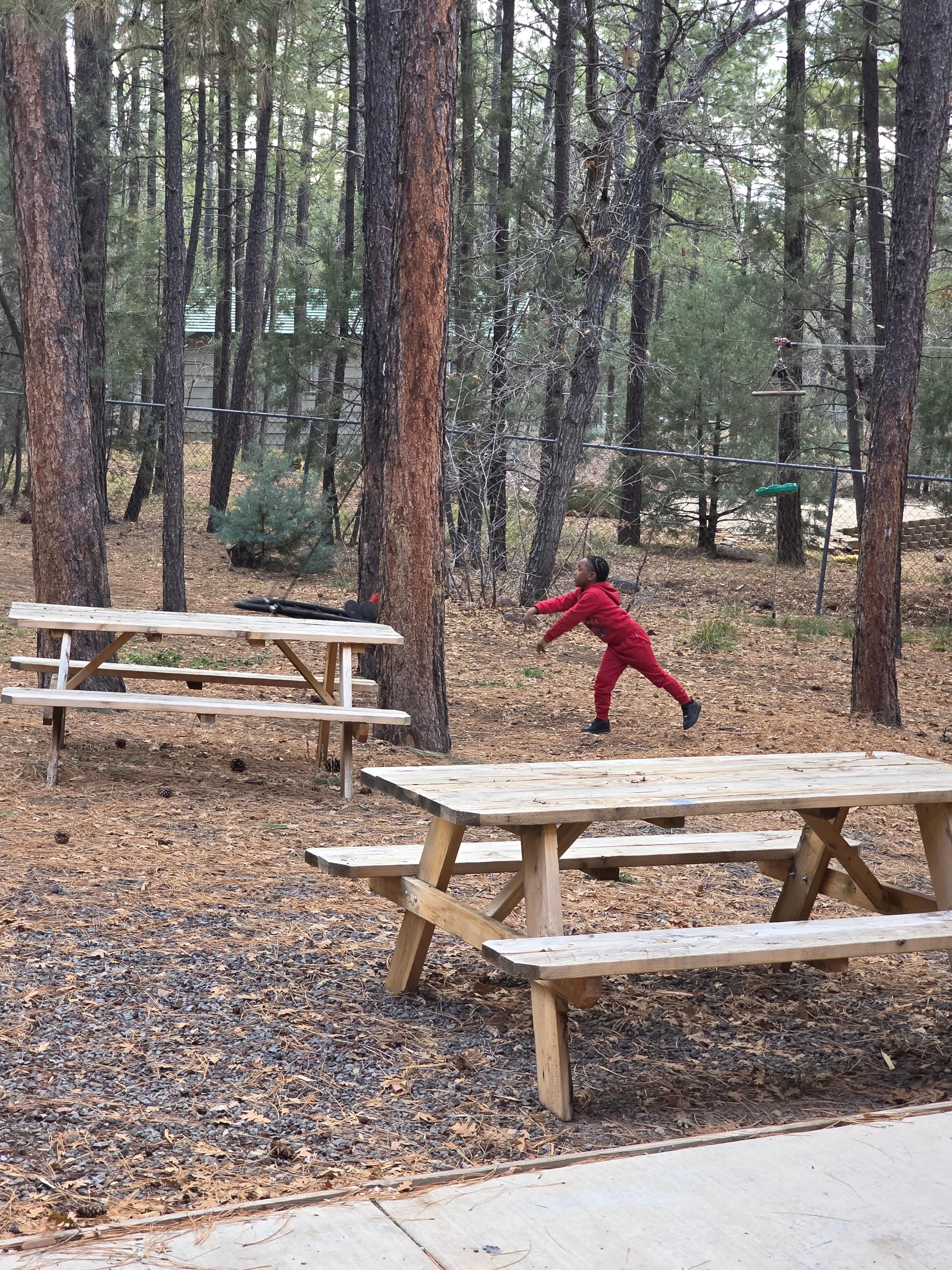 Swing in the backyard