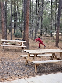 Swing in the backyard
