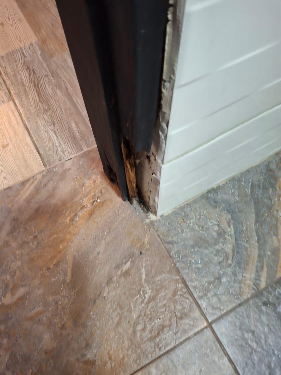 Así se ve la puerta