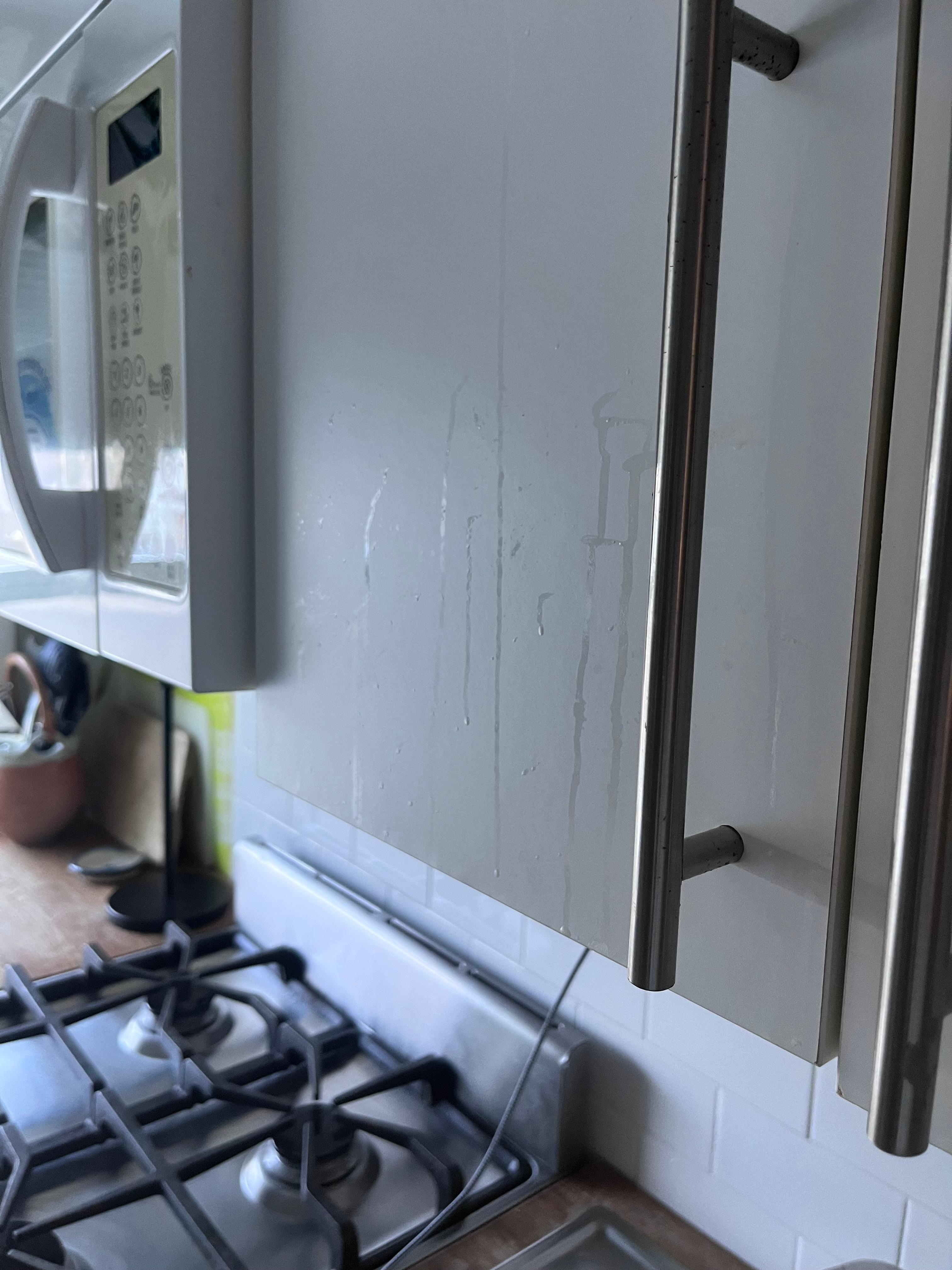 Dried liquid on the kitchen cabinets. 