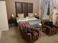 Lovely room, spaceous, clean and a very comfy bed