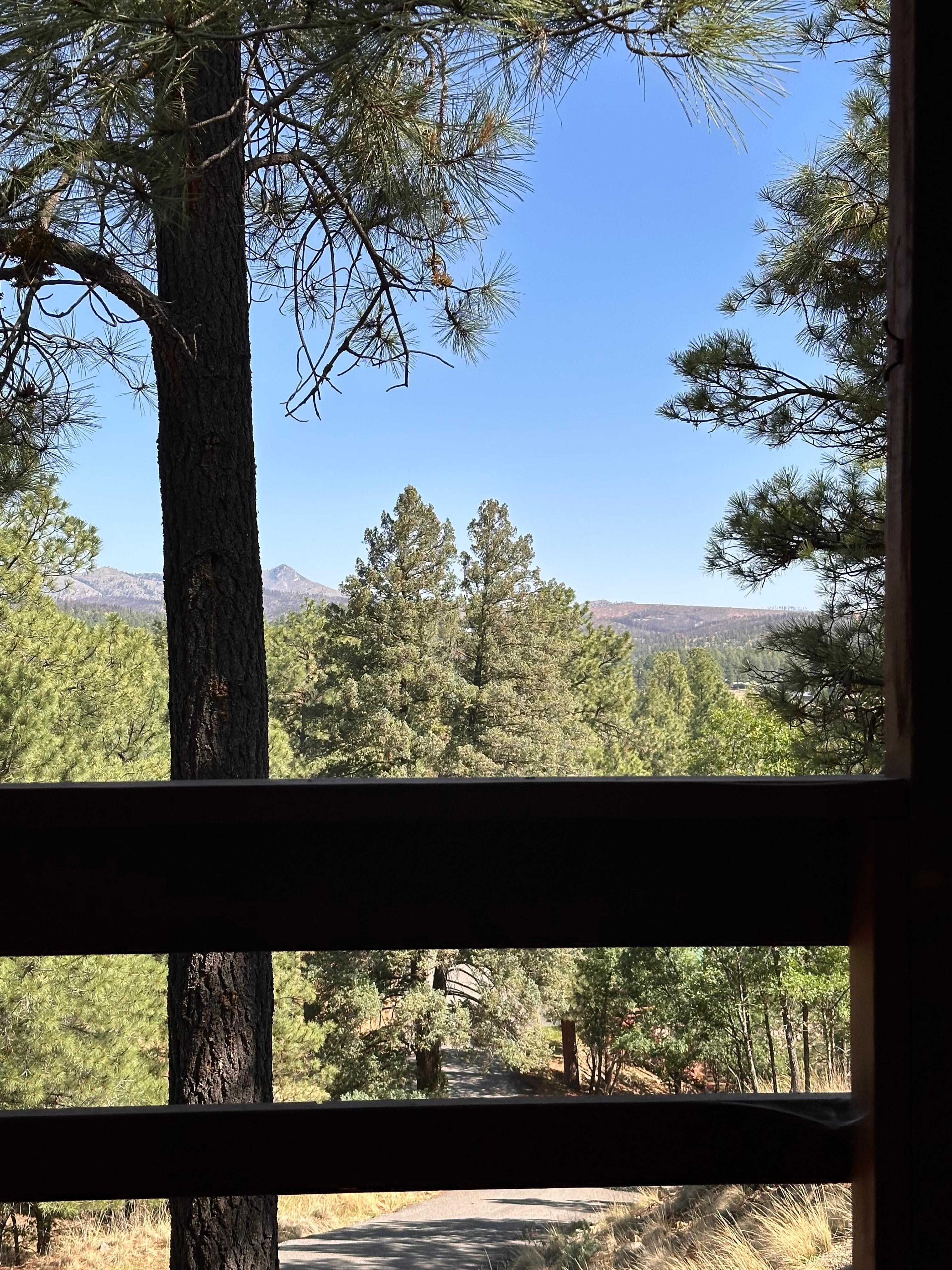  View from the porch swing 