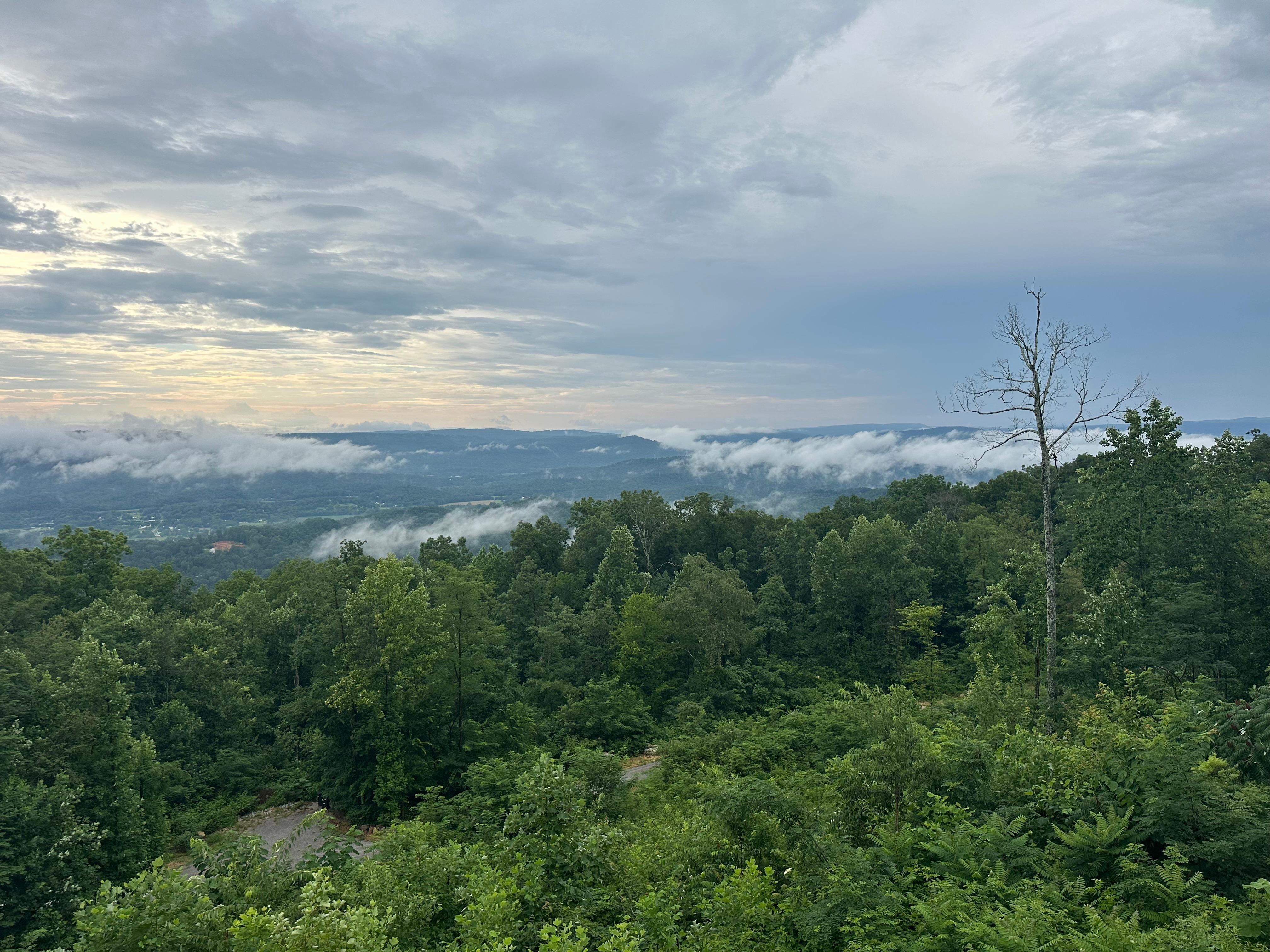 View from the A-frame deck